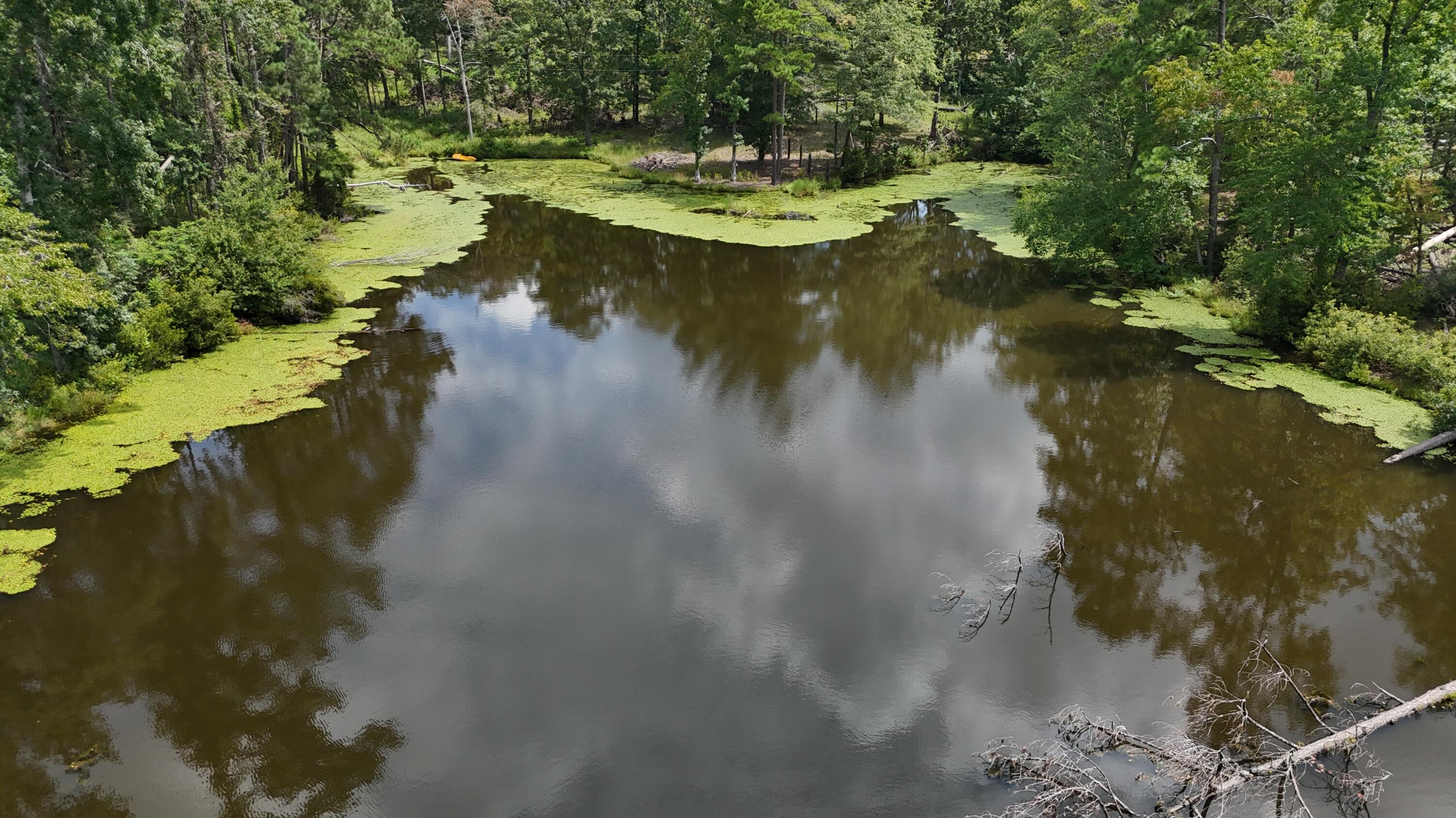 Homes for sale in Trenton, SC | 0 Hummingbird Dr, Trenton, SC 29847 | MLS# 546015