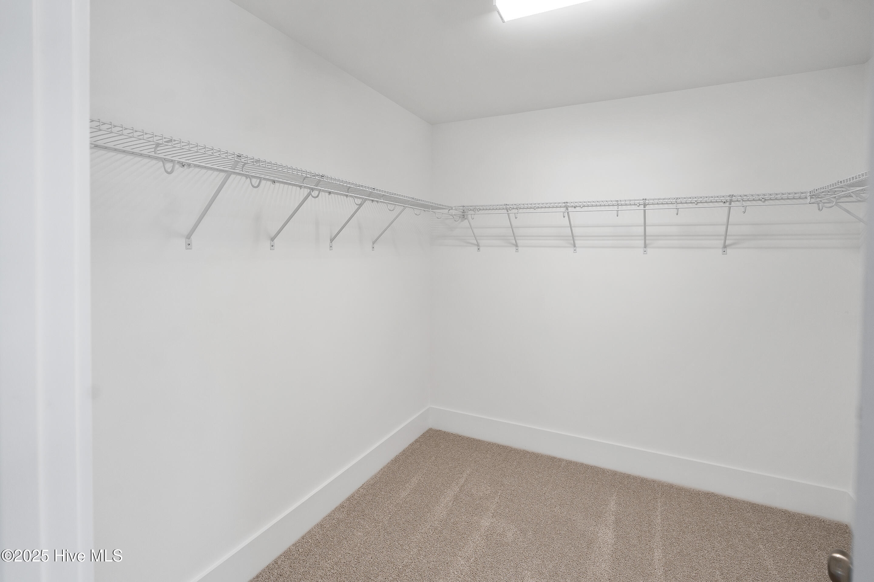 100506457 | Photo 38