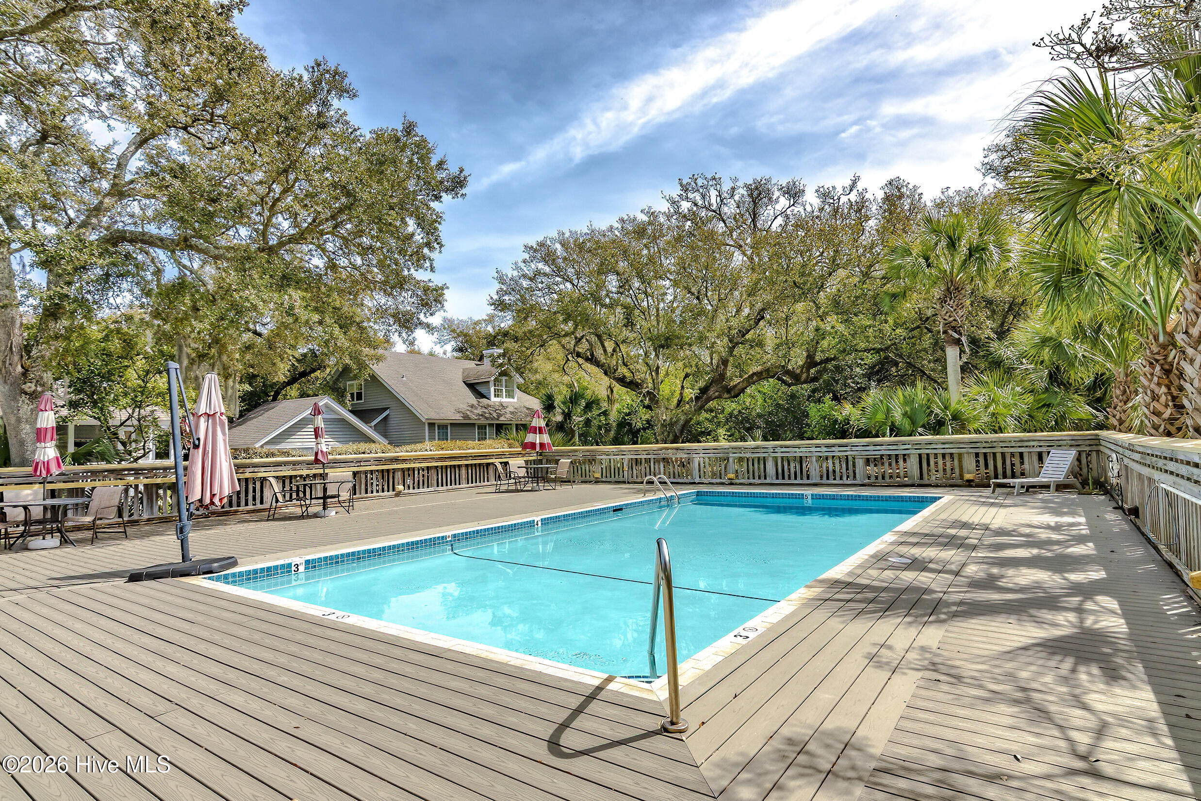 100557285 | Photo 39