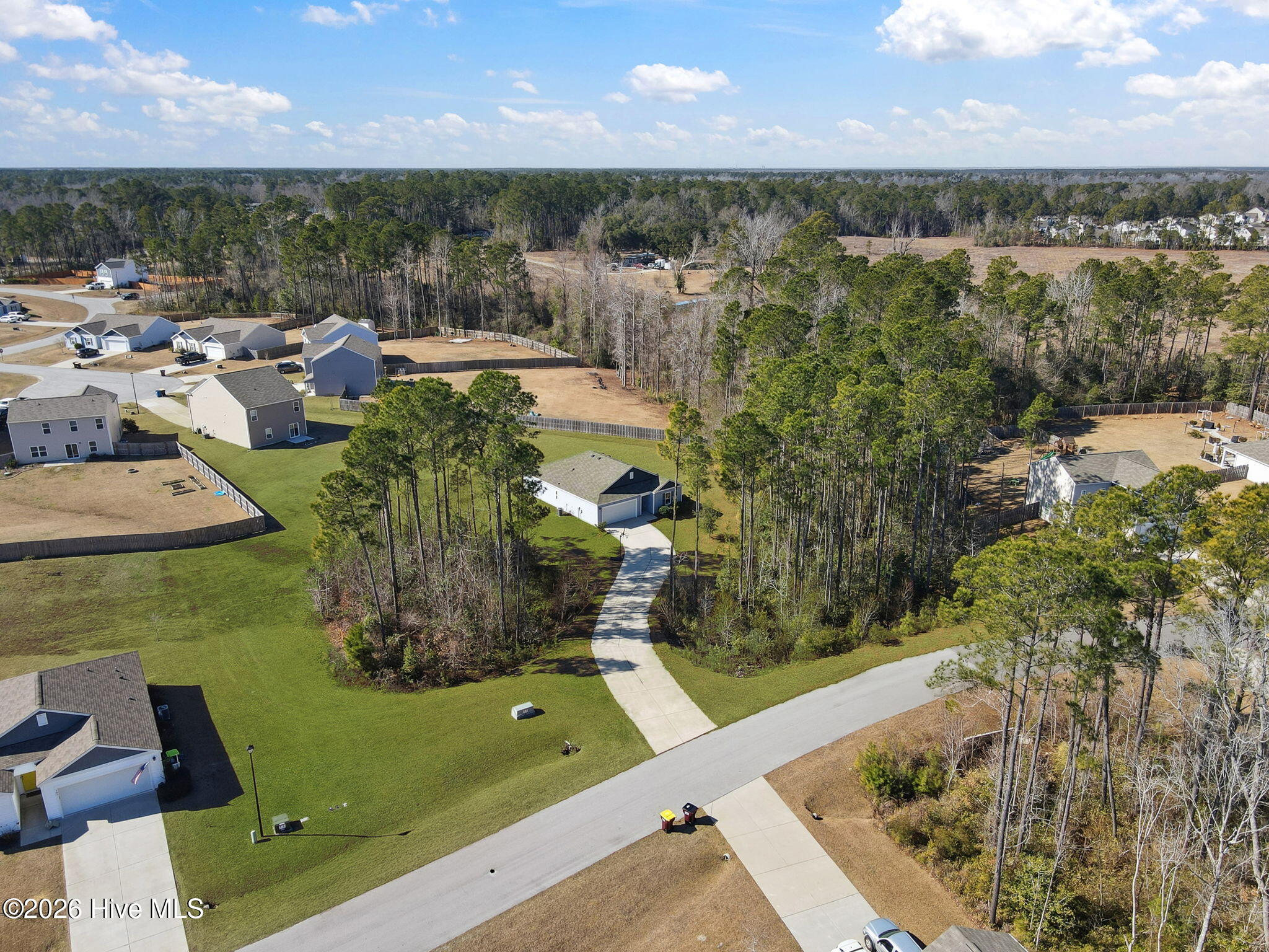 100553994 | Photo 45