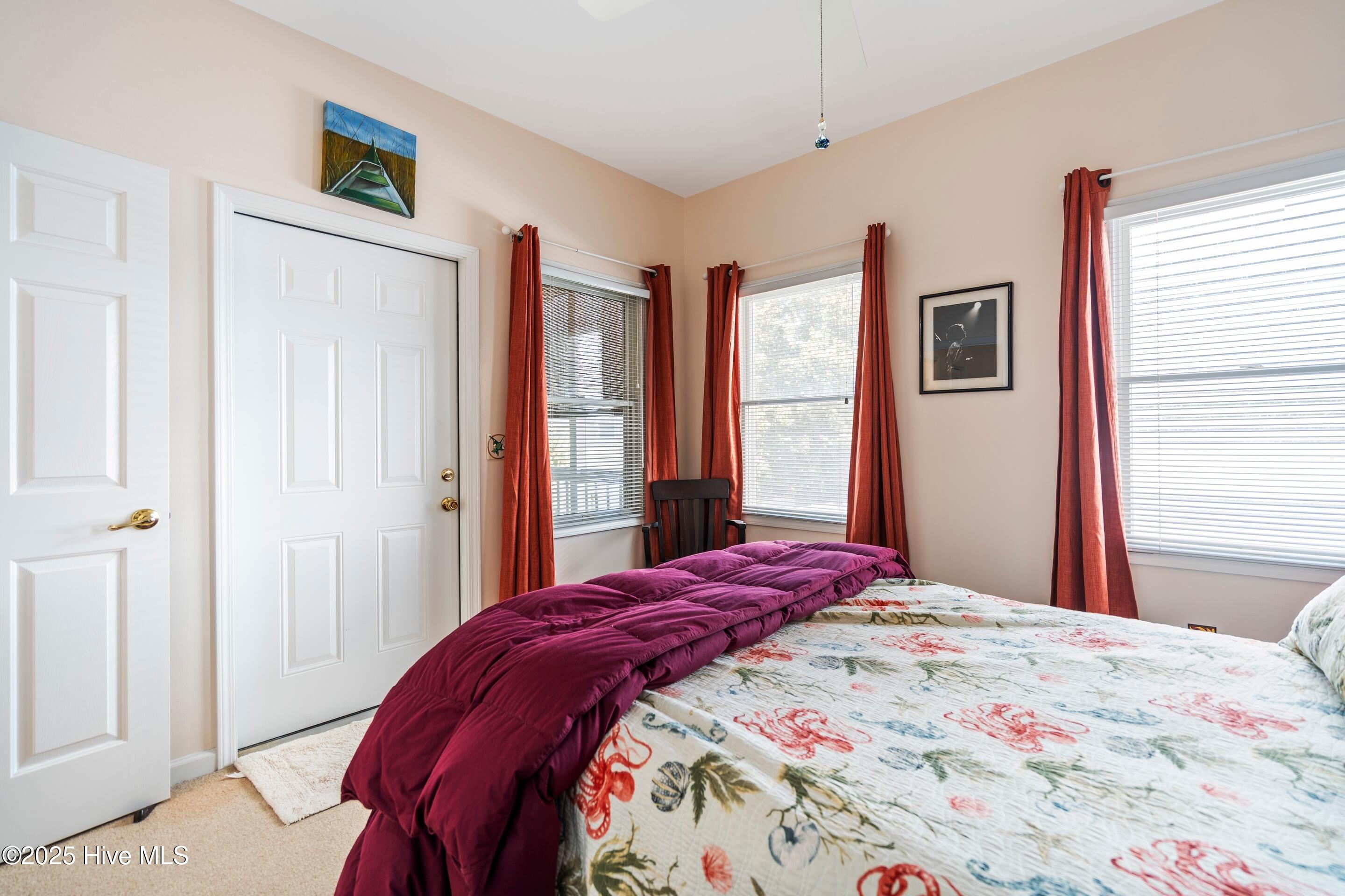 100535794 | Photo 17