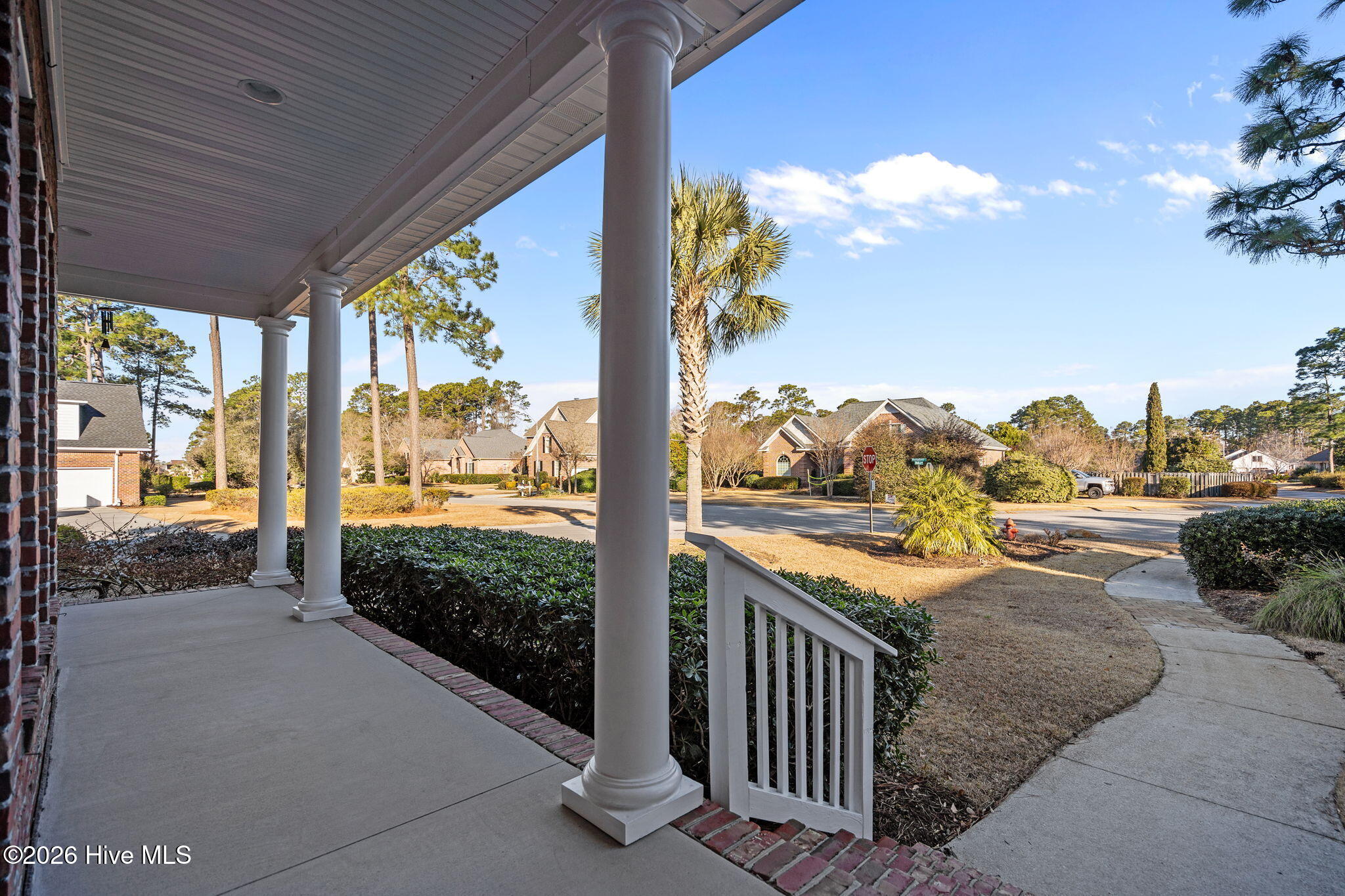 100552731 | Photo 82