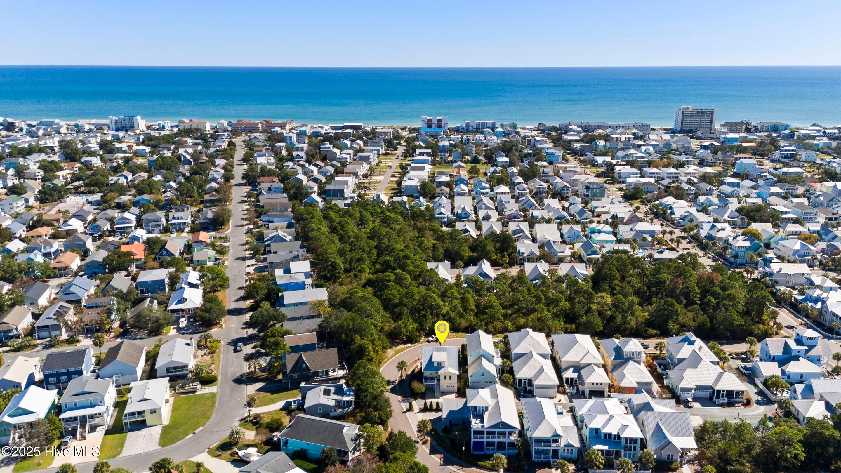 100536198 | Photo 16