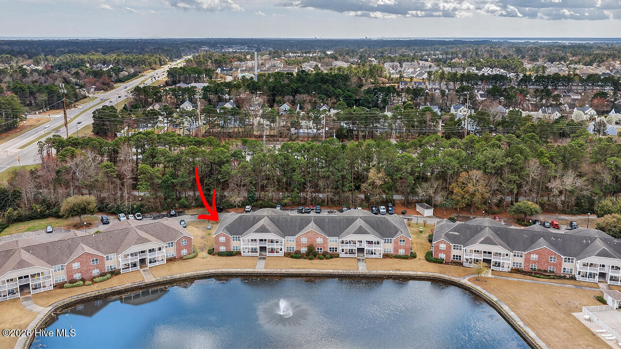 100559380 | Photo 47