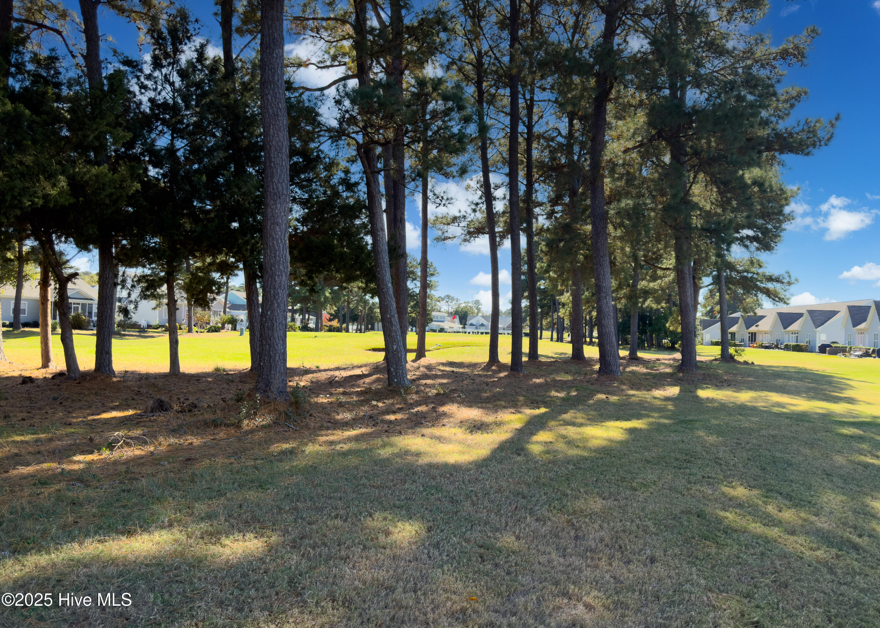 100540953 | Photo 28