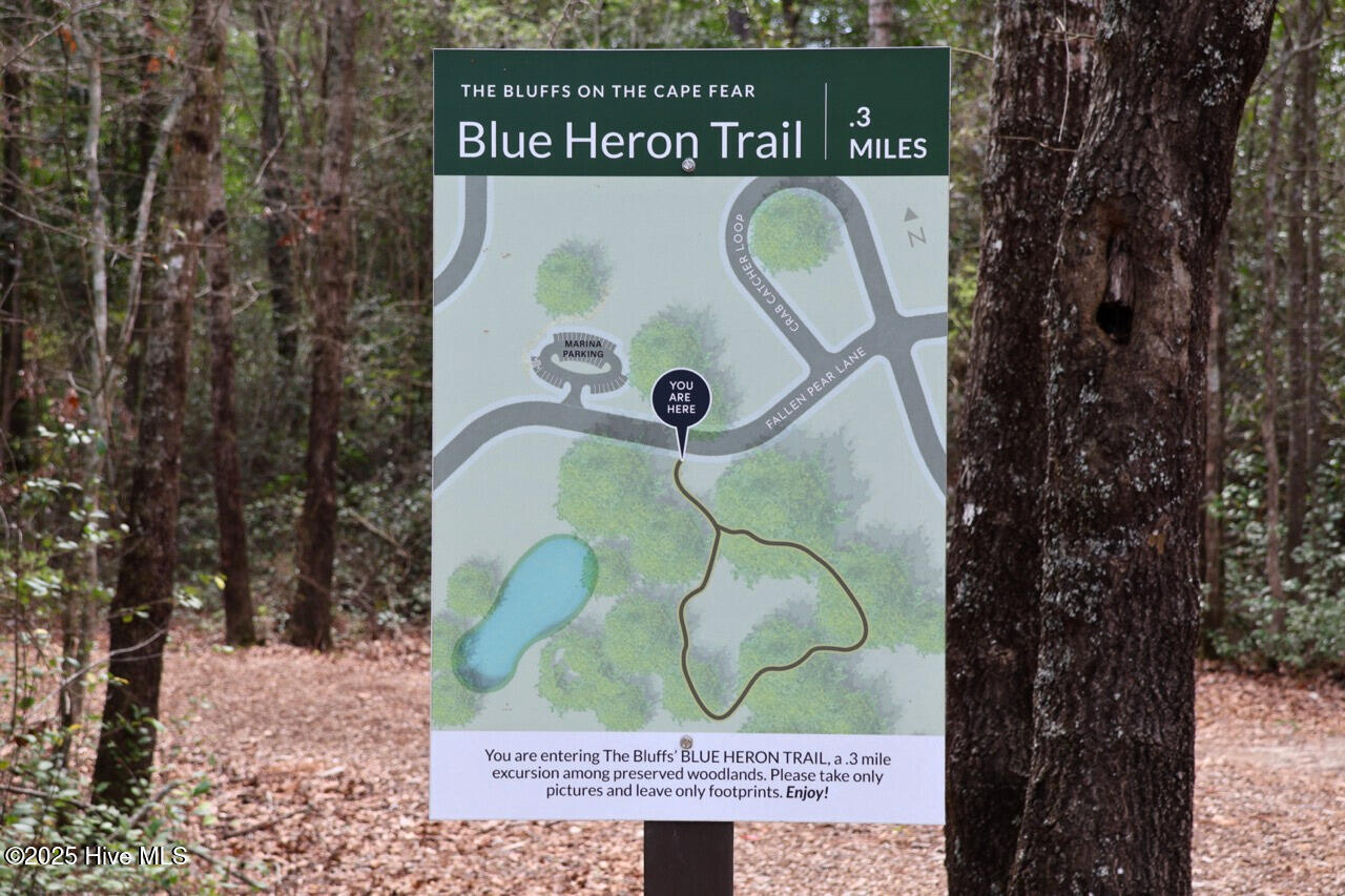 100501196 | Photo 15