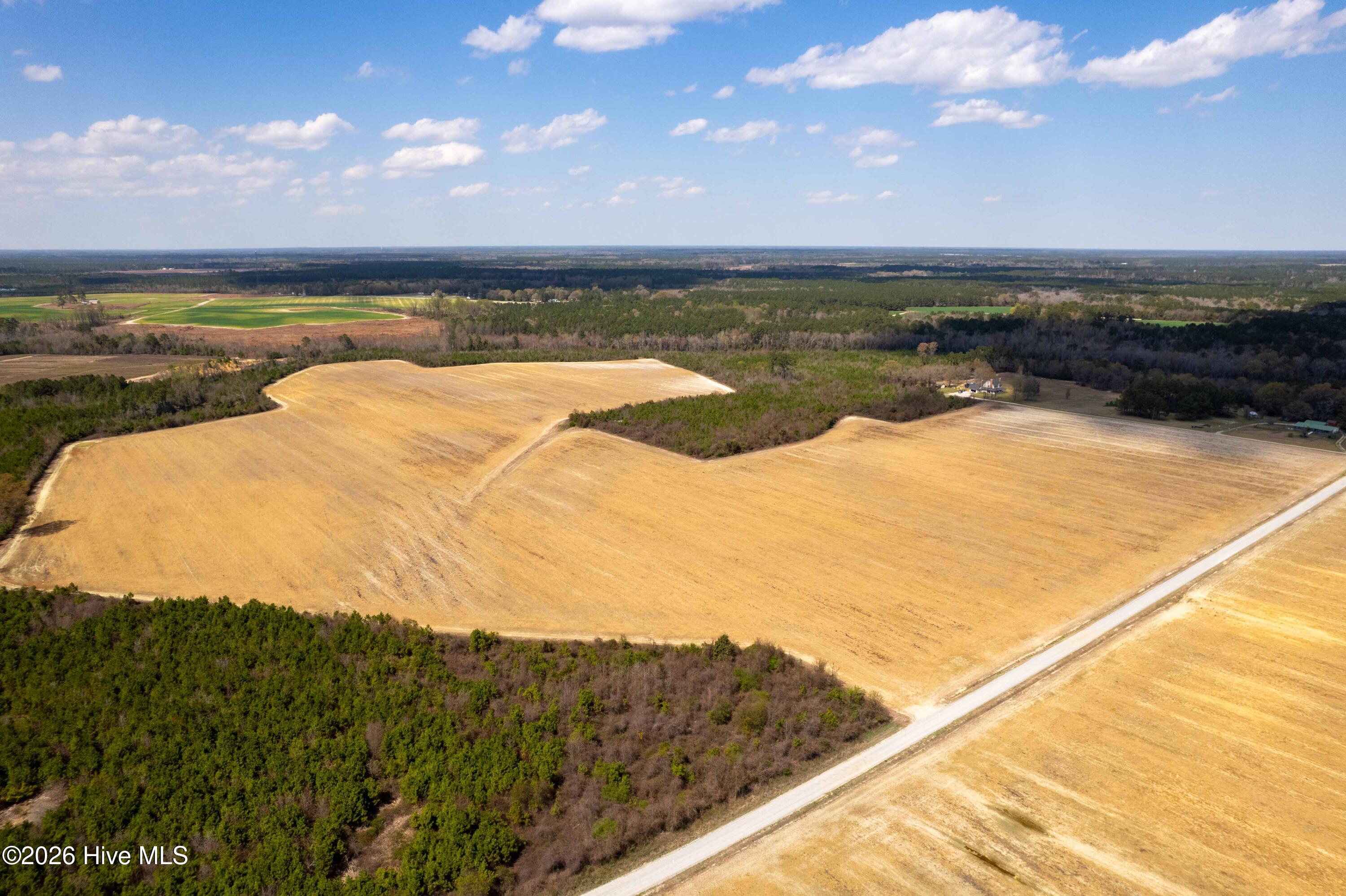 Exterior photo of 0 Devane Farm Road, Harrells, NC 28444. MLS: 100590427
