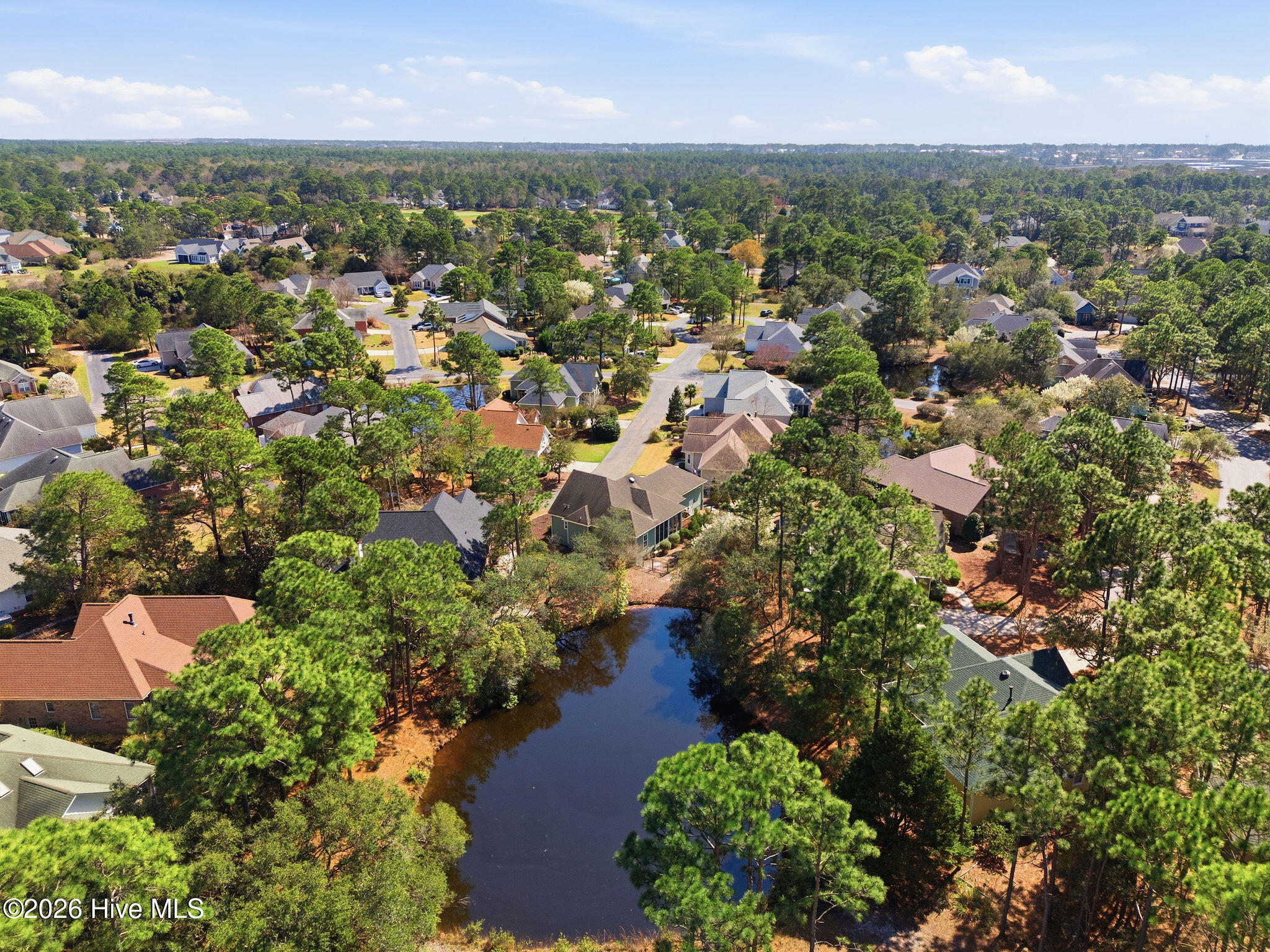 100560993 | Photo 44