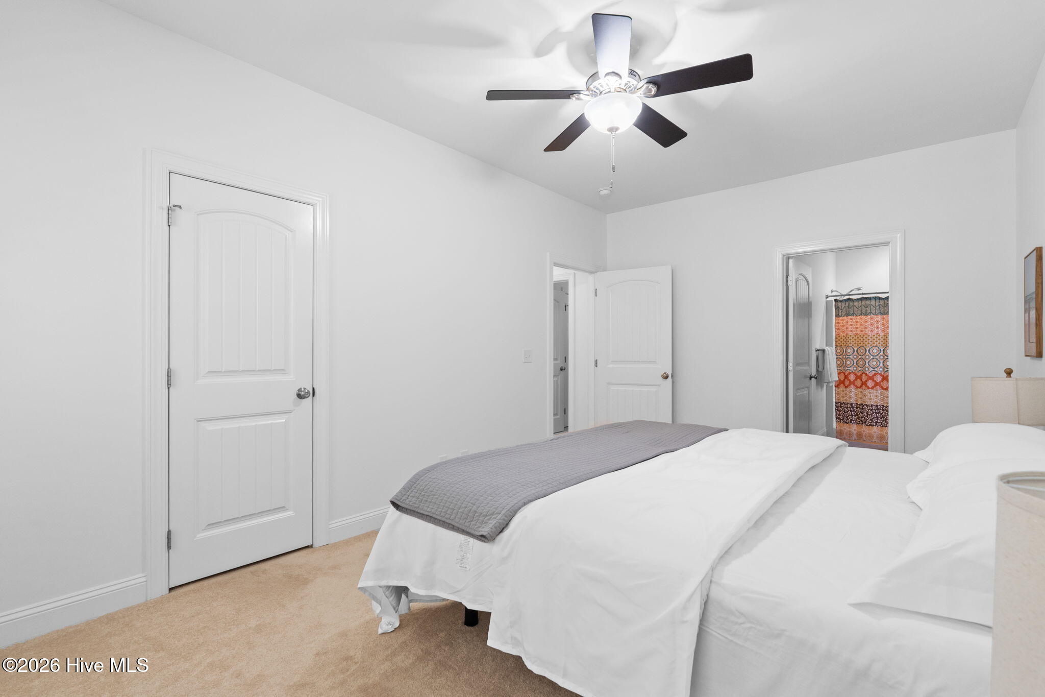 100568462 | Photo 14