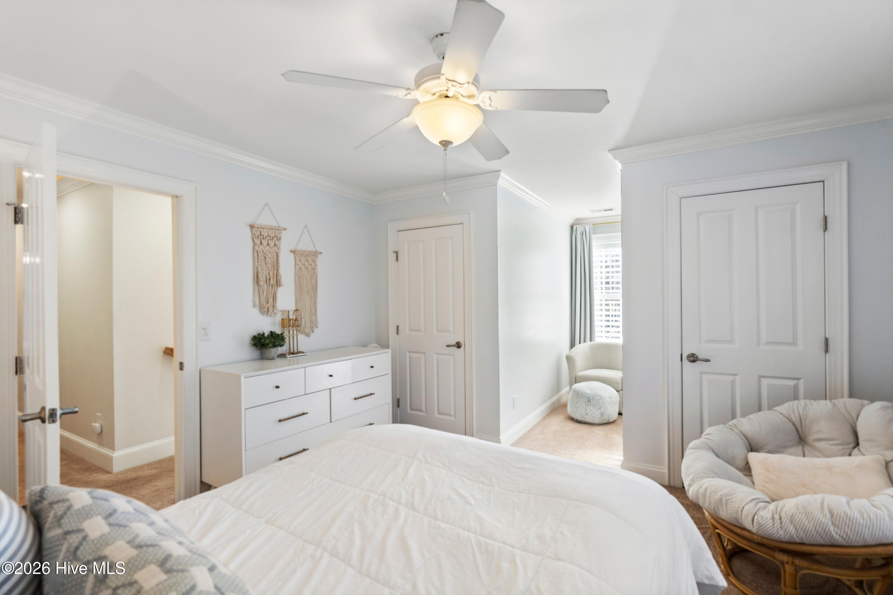 100549669 | Photo 46