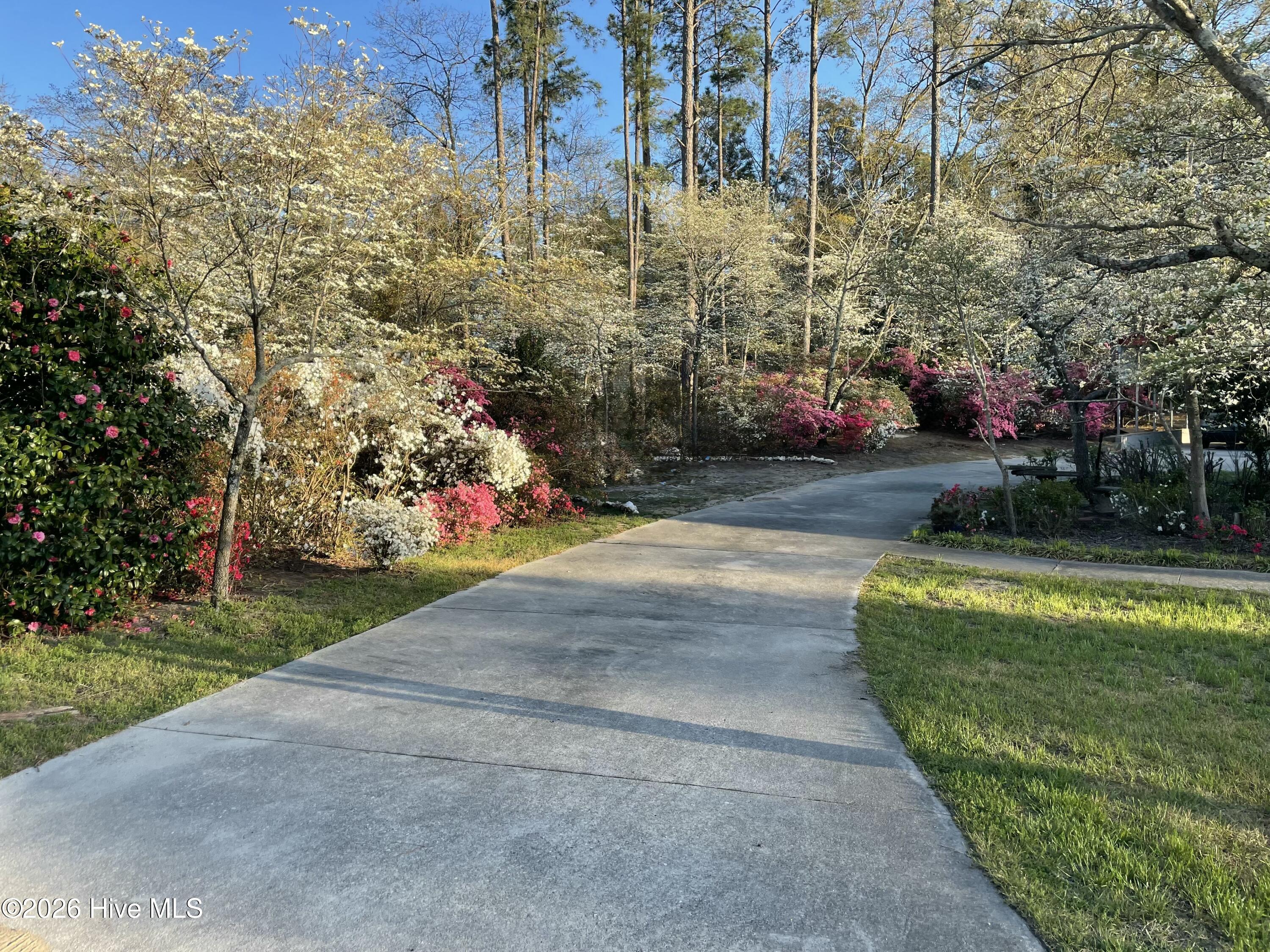 53rd image of 1105 Oak Ave, Hamlet, NC 28345 | MLS# 100597267