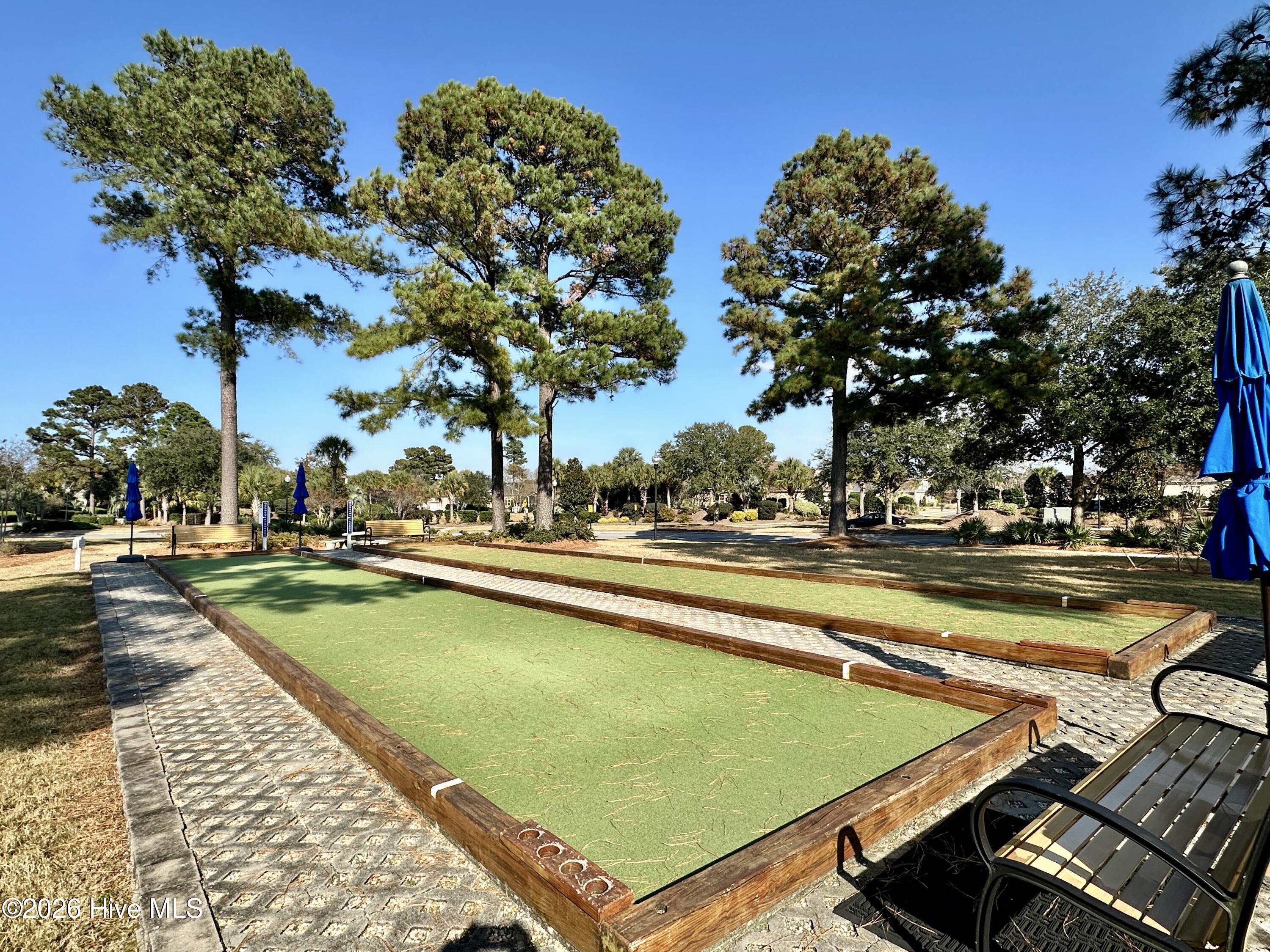 100554045 | Photo 47