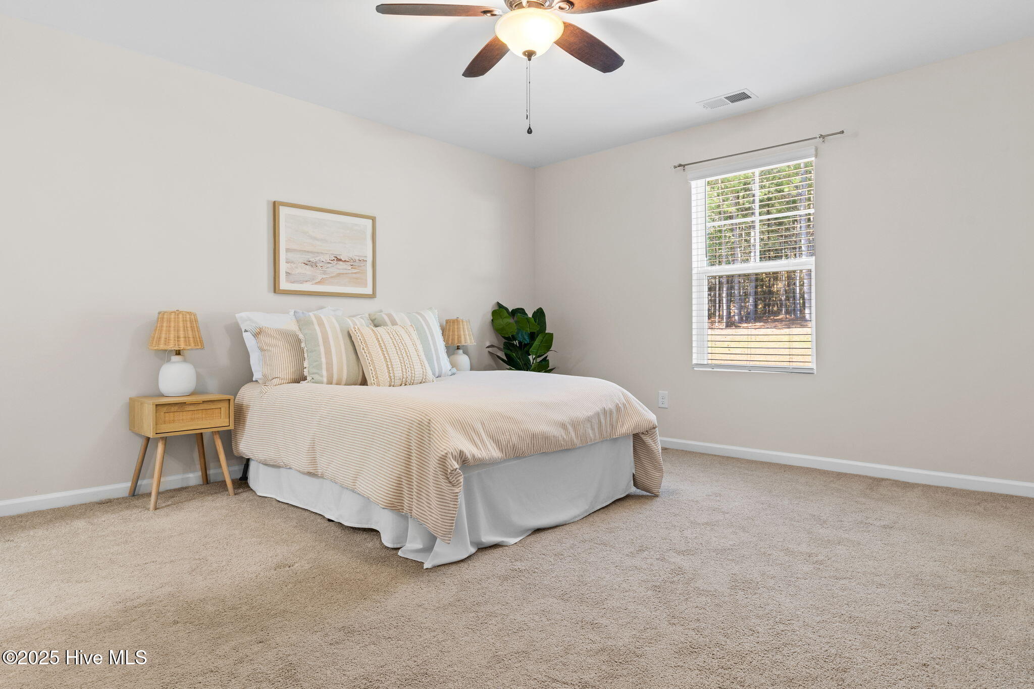 100549015 | Photo 12