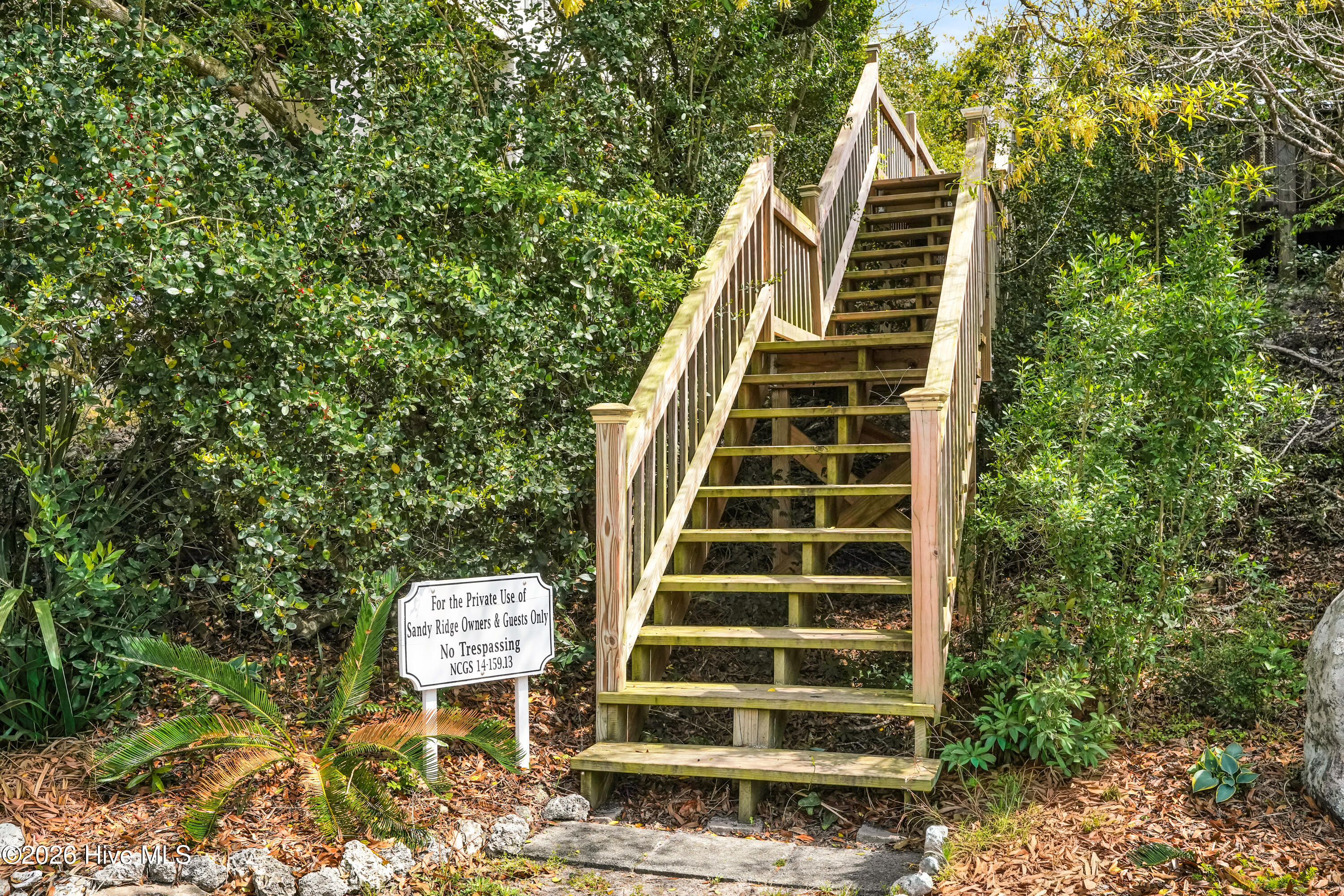 100566237 | Photo 52