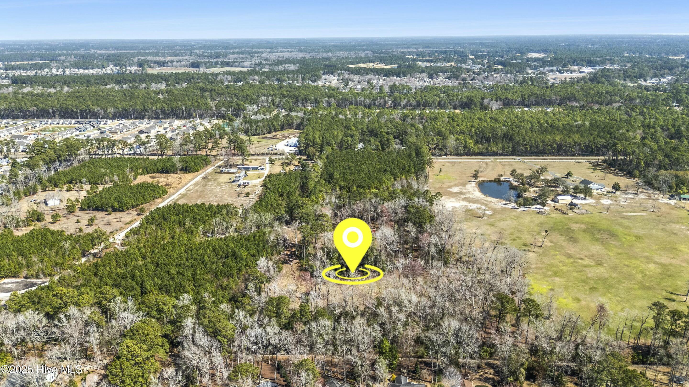 100495483 | Photo 13