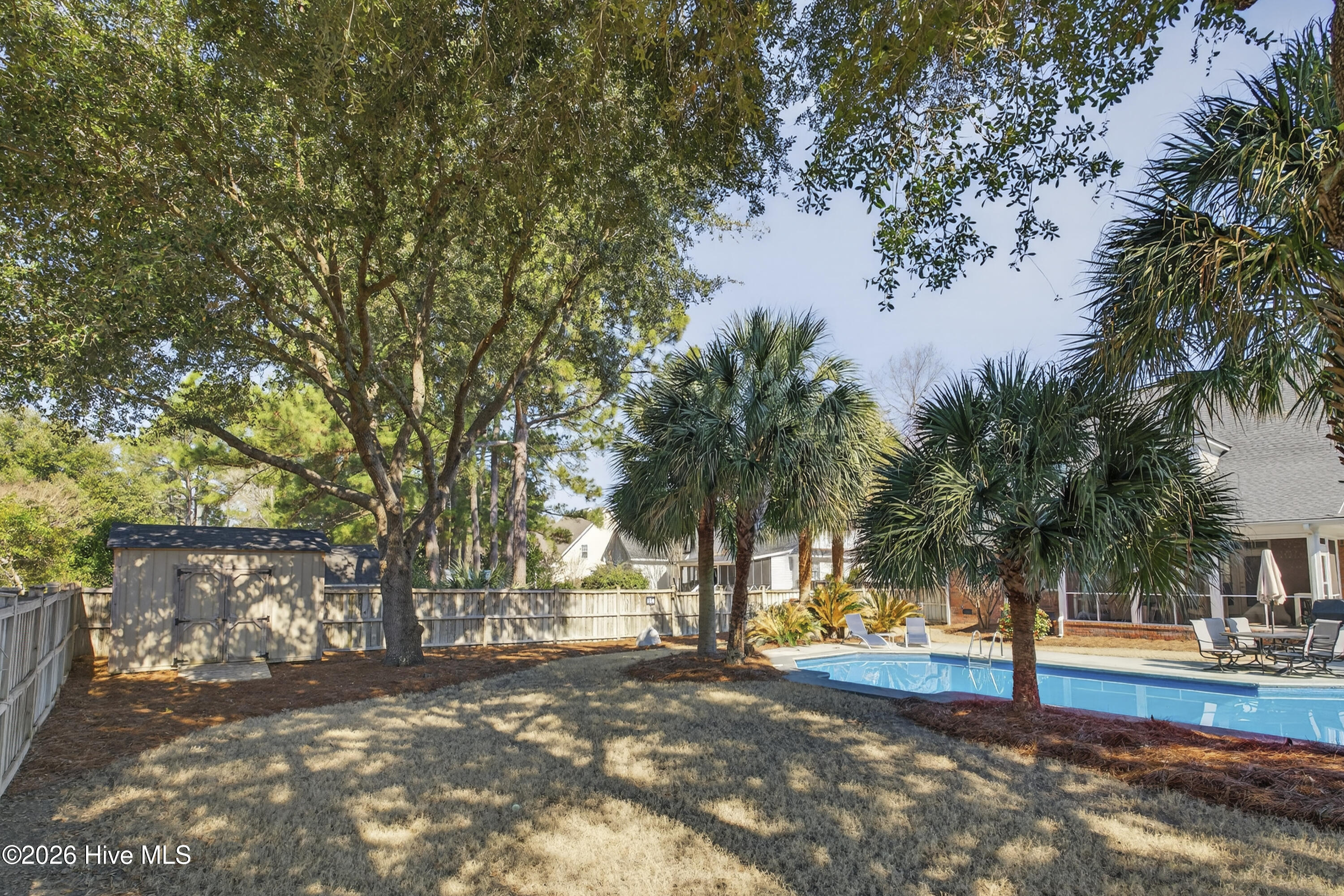 100557887 | Photo 68