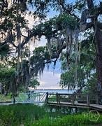 Wilmington Park Dock