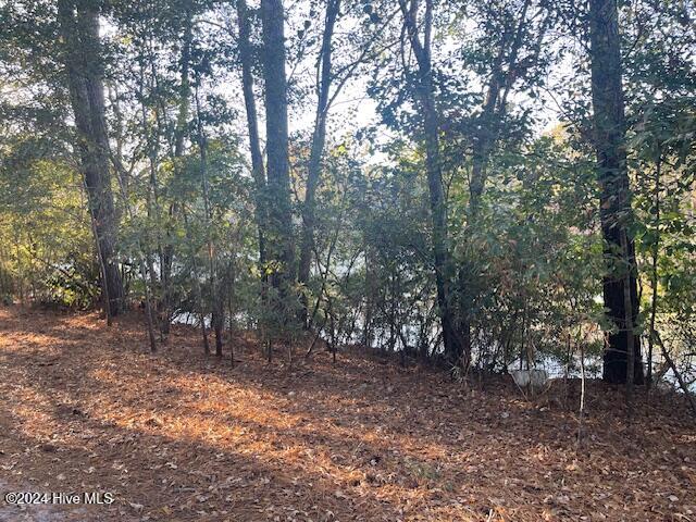 408 Lake Pines Drive, La Grange, NC, 28551