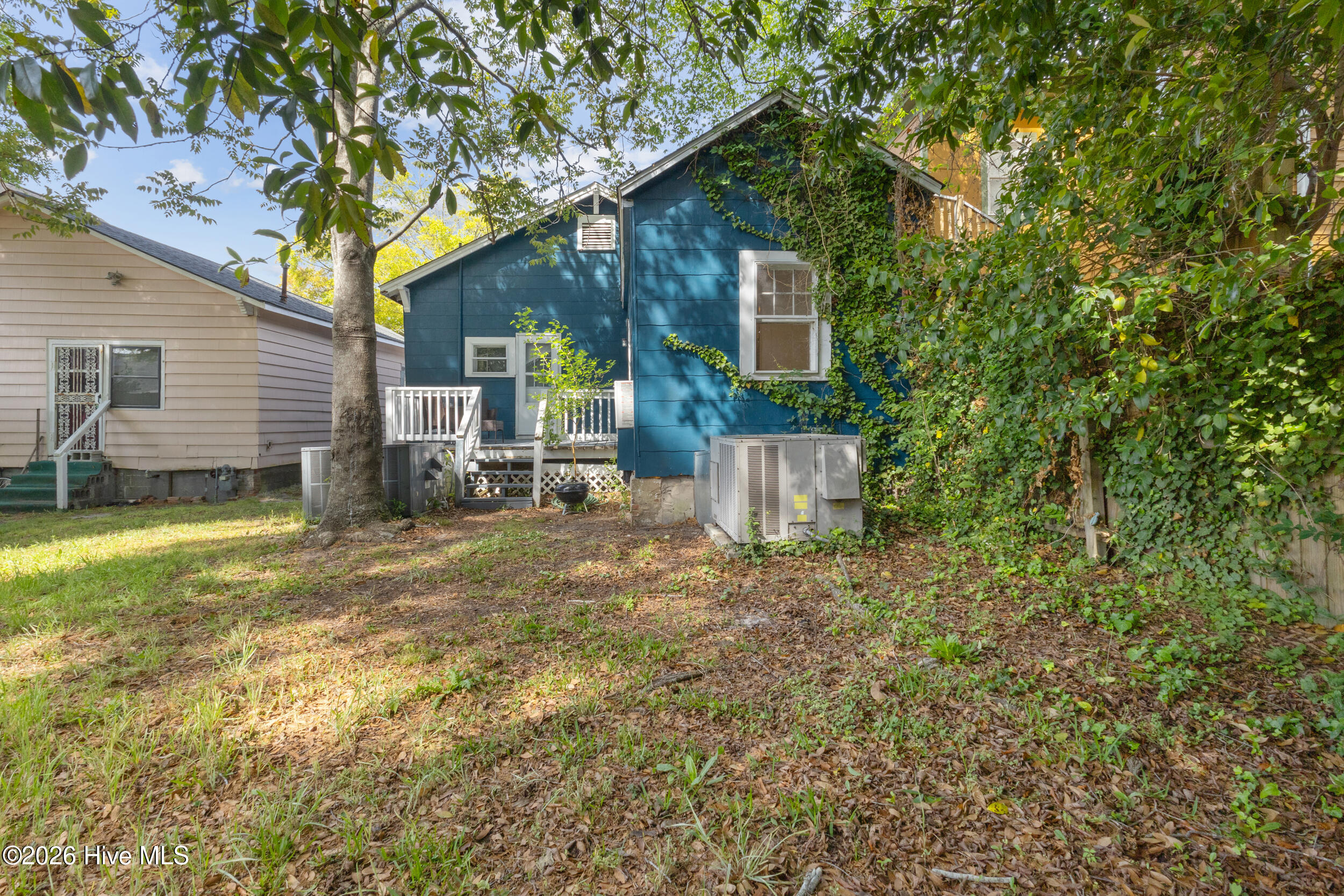 100566202 | Photo 27