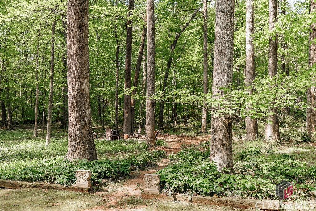 1031 Long Branch Run