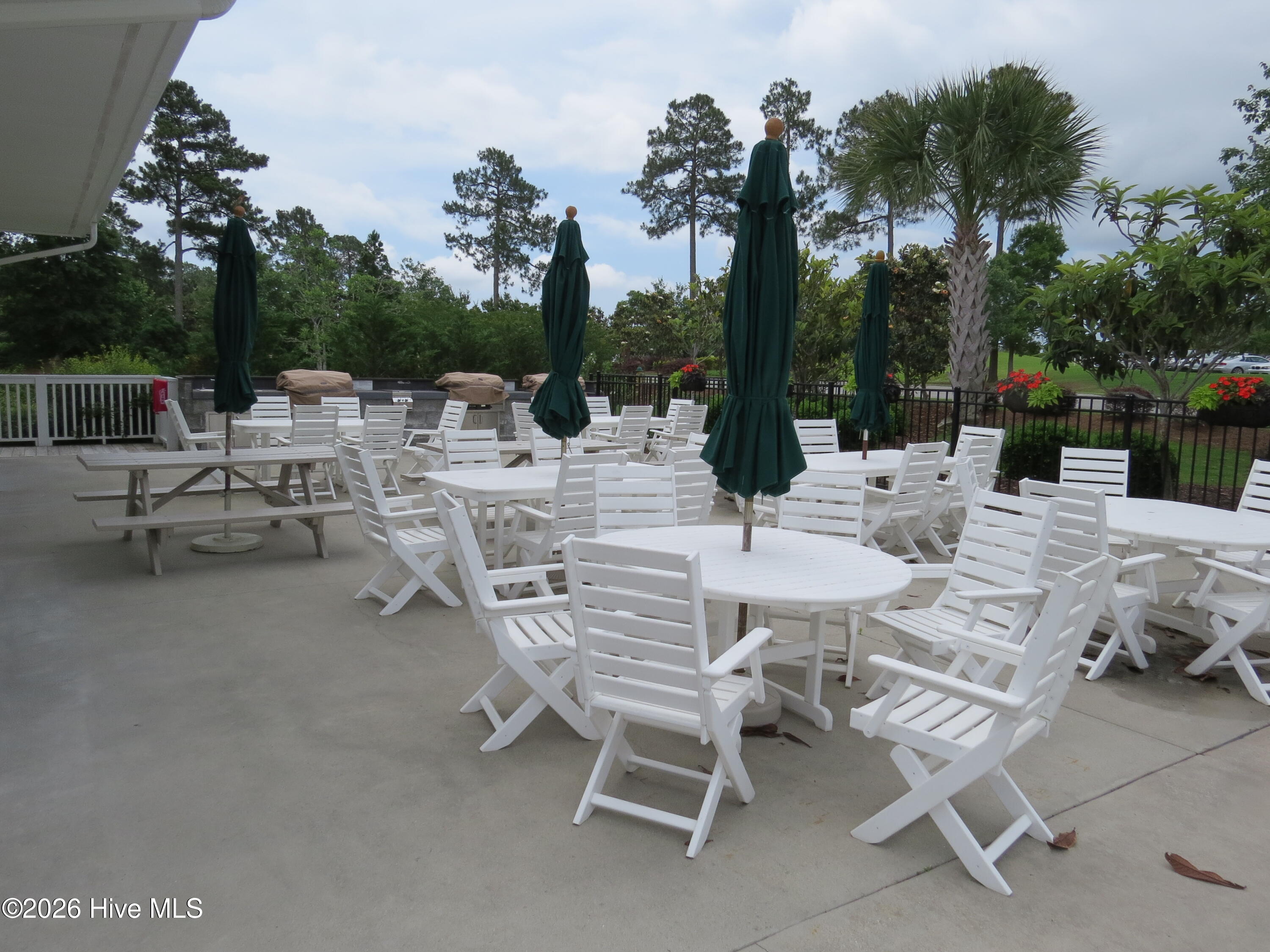 100559820 | Photo 20