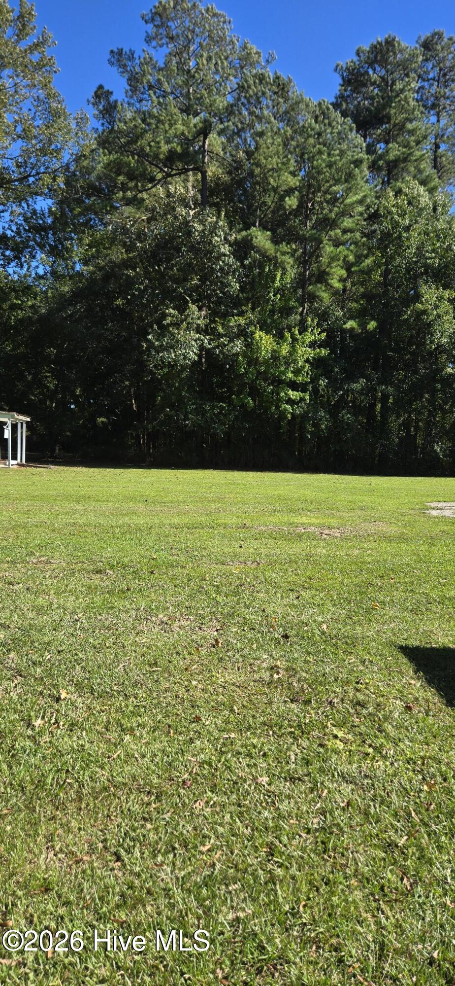 big back yard
