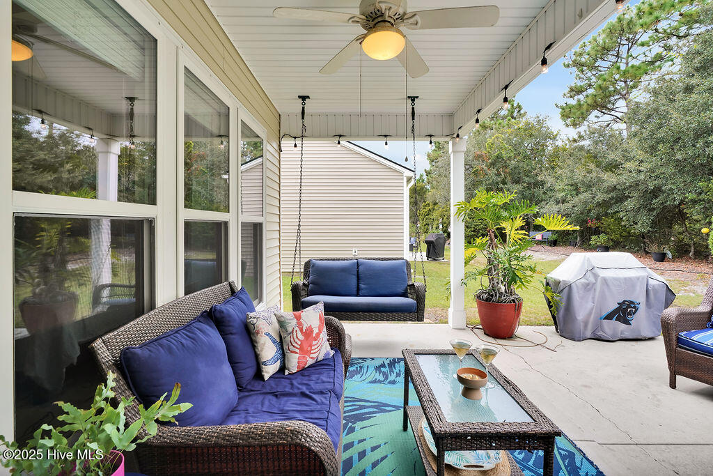 100532271 | Photo 18