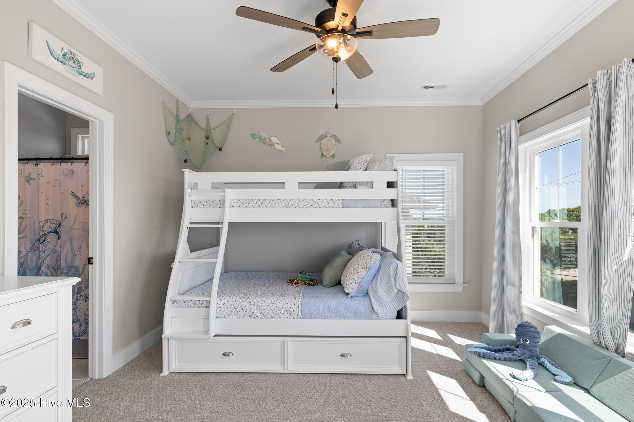 100498543 | Photo 47