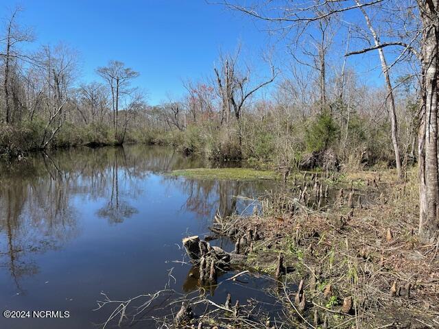 100446082 | Photo 14