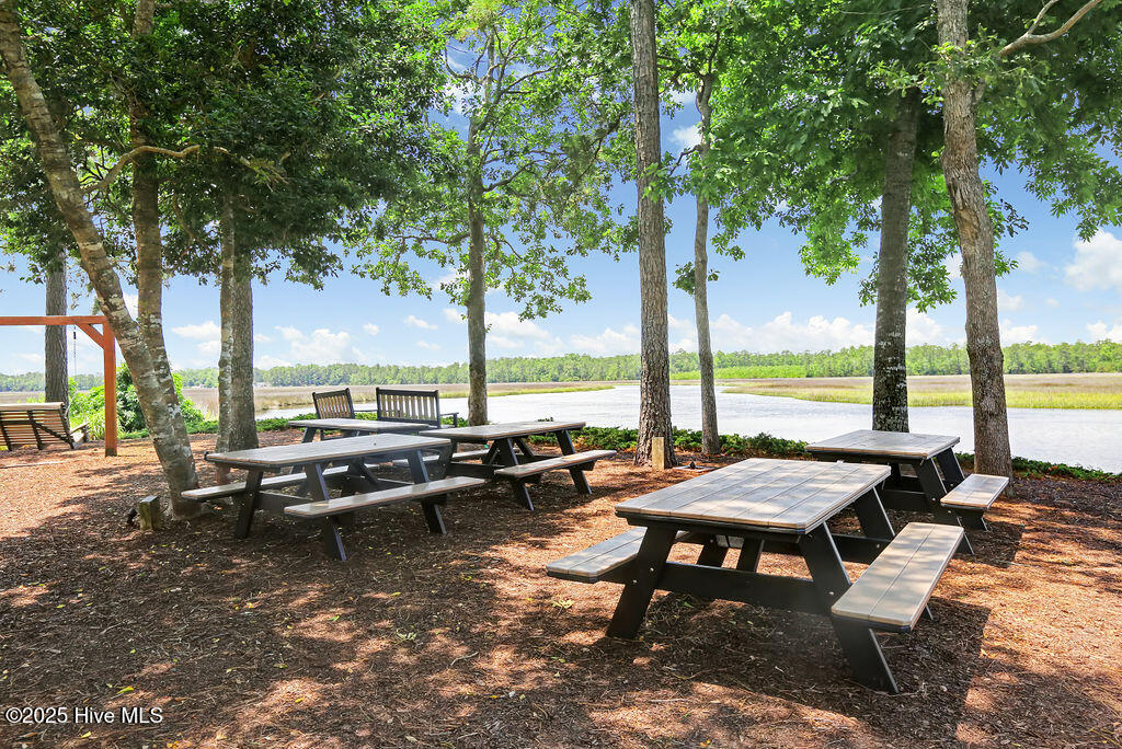 100541401 | Photo 78