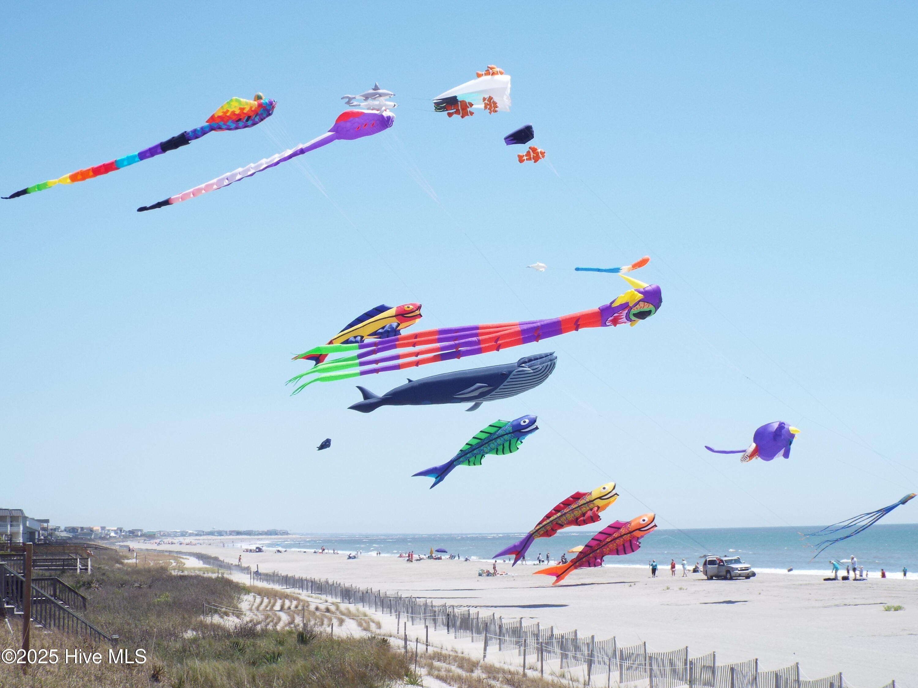 100533806 | Photo 54