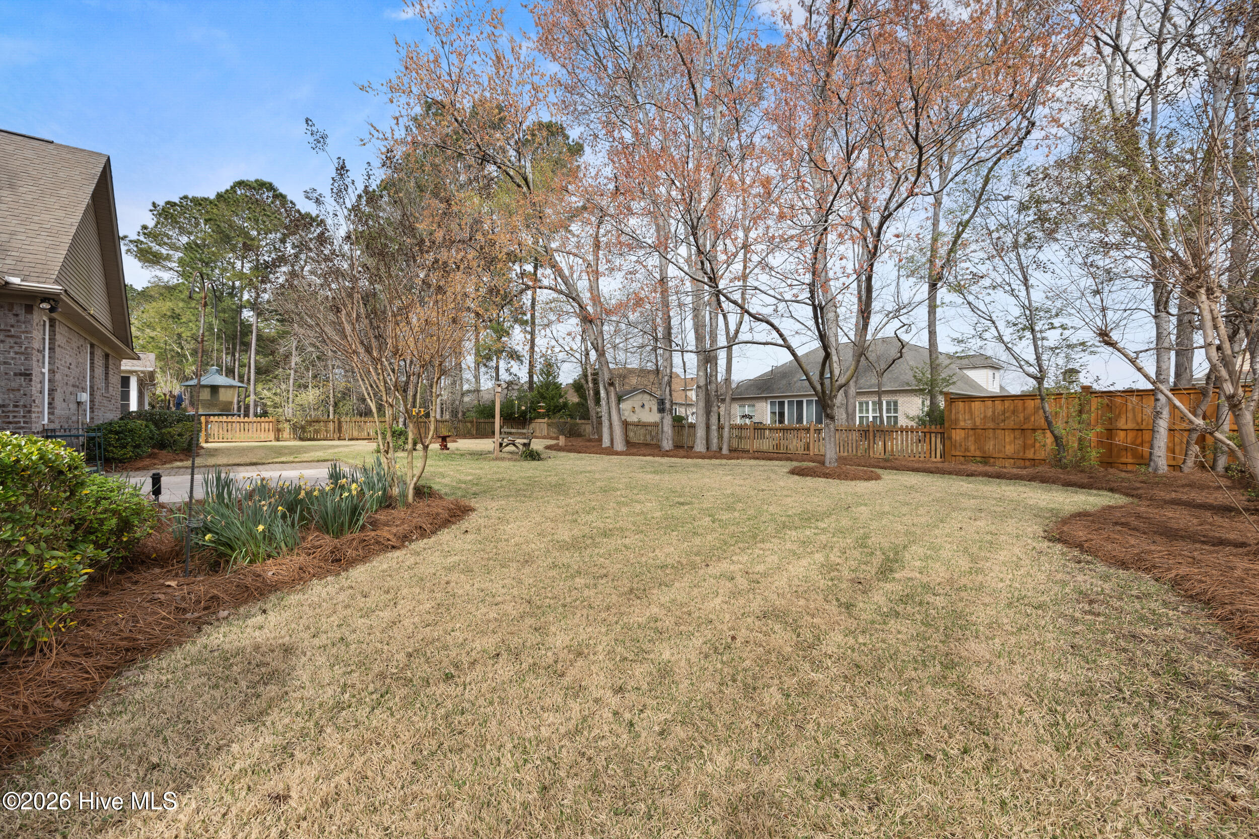 100564950 | Photo 43