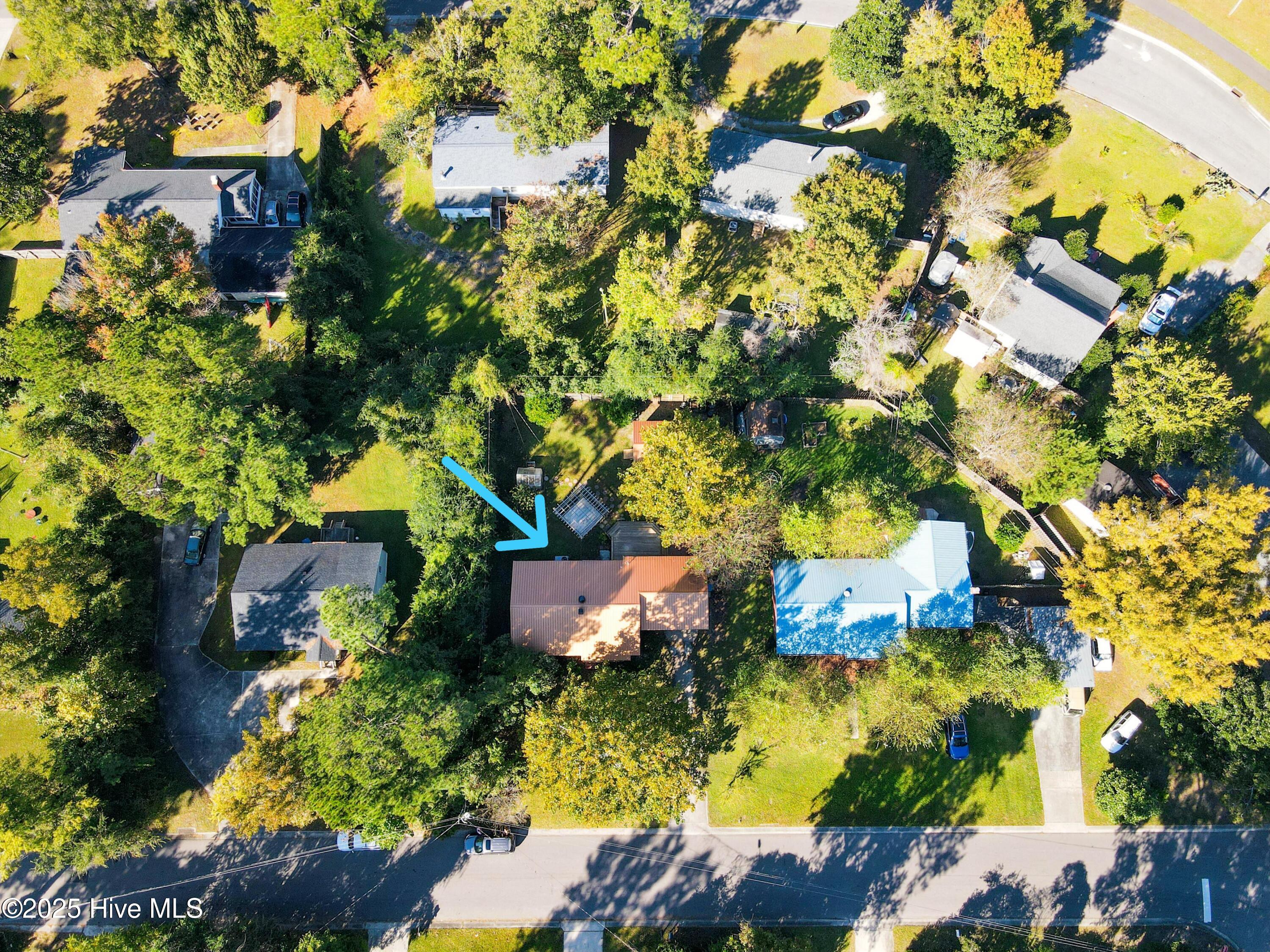 100537869 | Photo 72