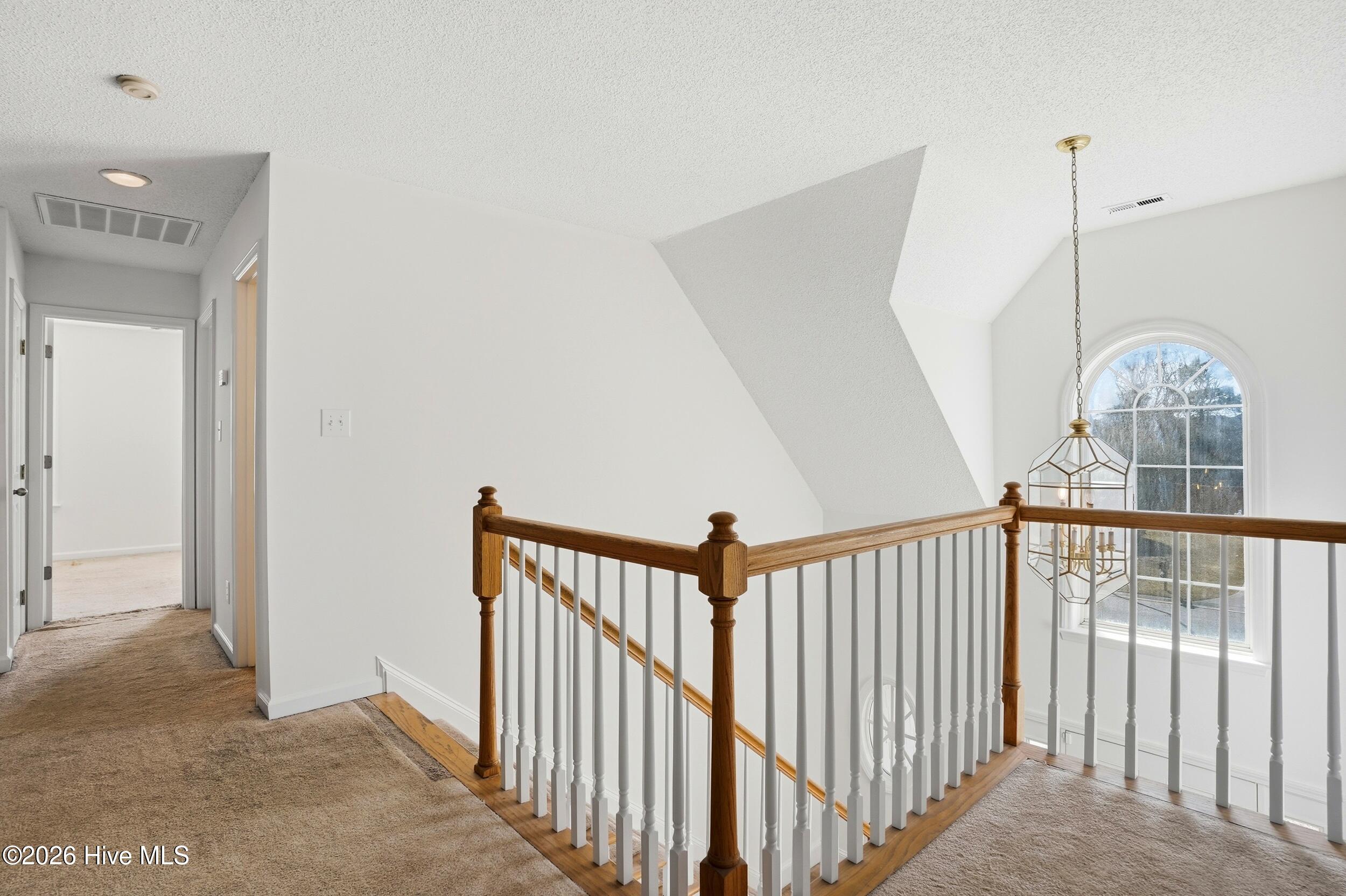 100553859 | Photo 24