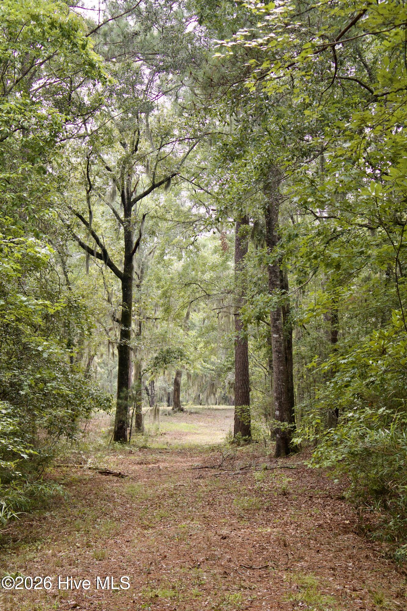 385 Sand Ridge Road,New Bern