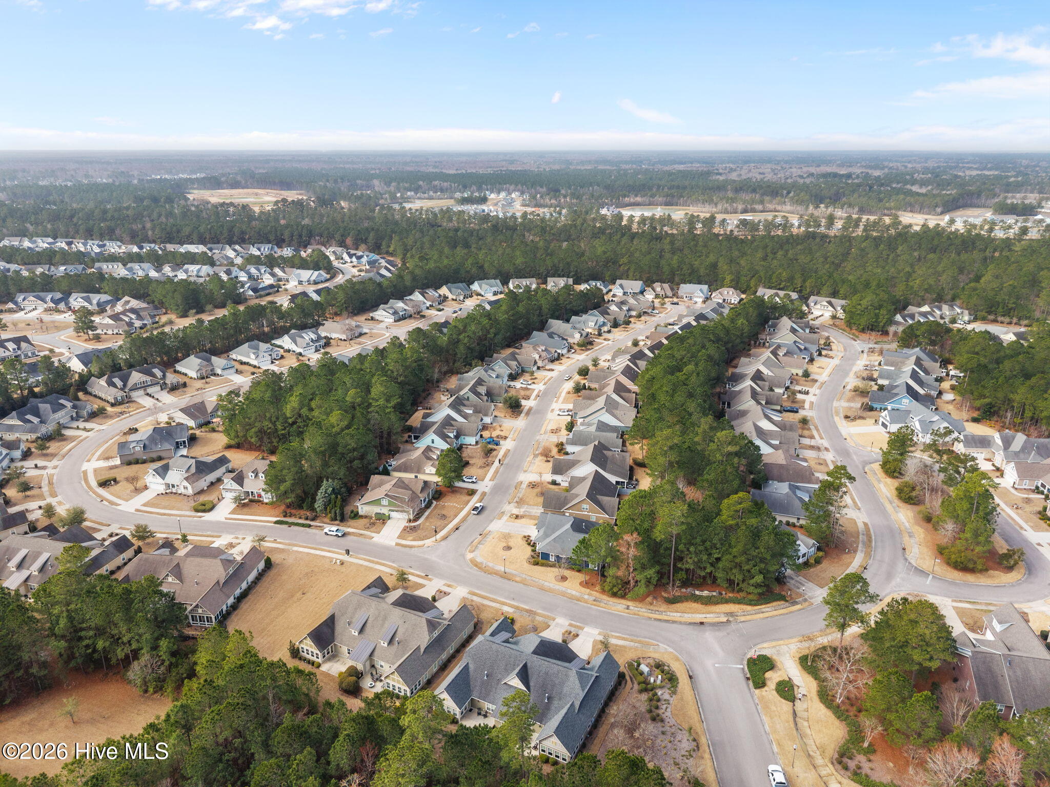 100558174 | Photo 49