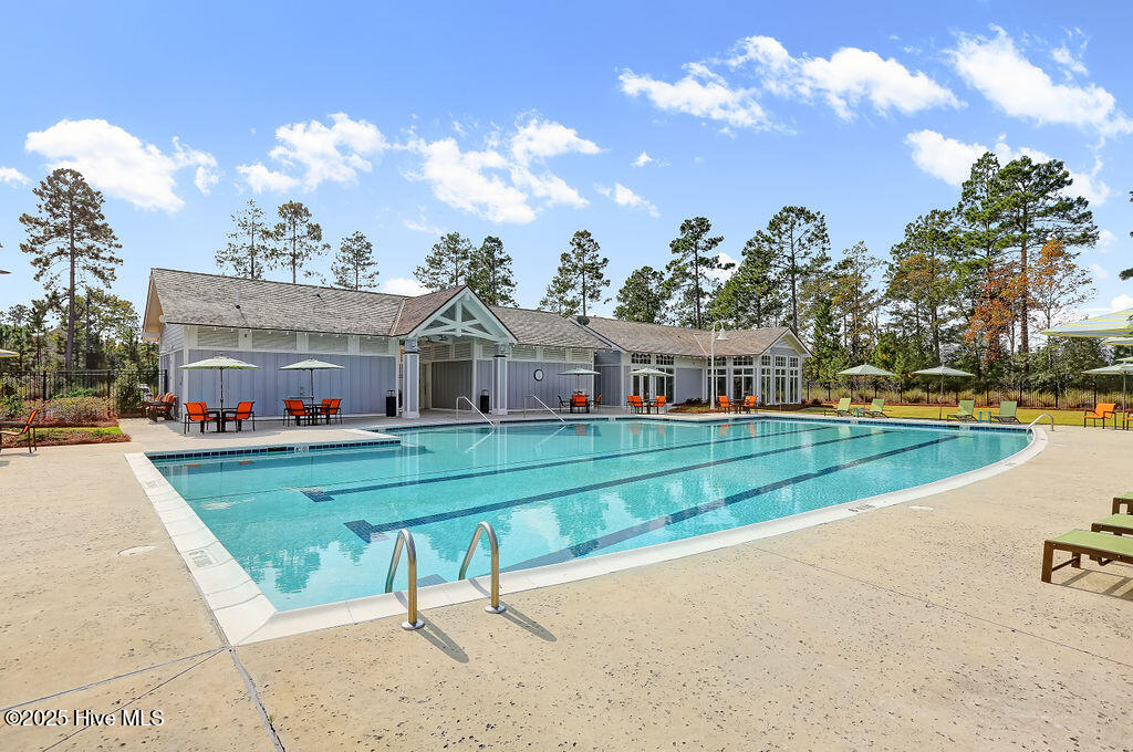 100538241 | Photo 73