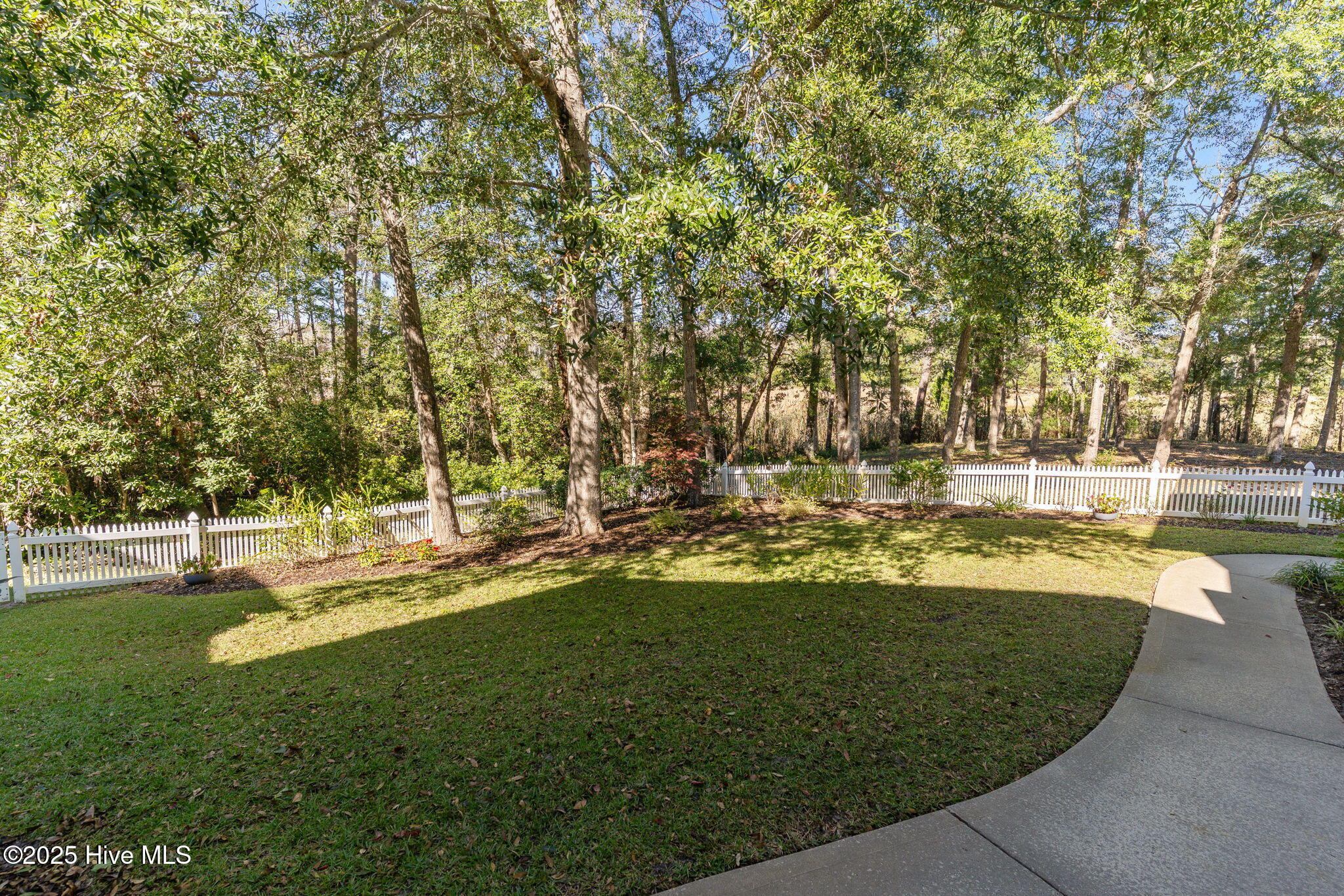 100538166 | Photo 54