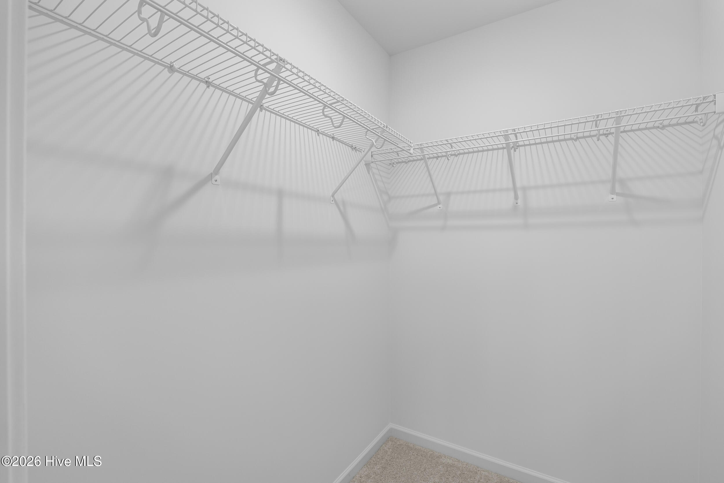 100568116 | Photo 22