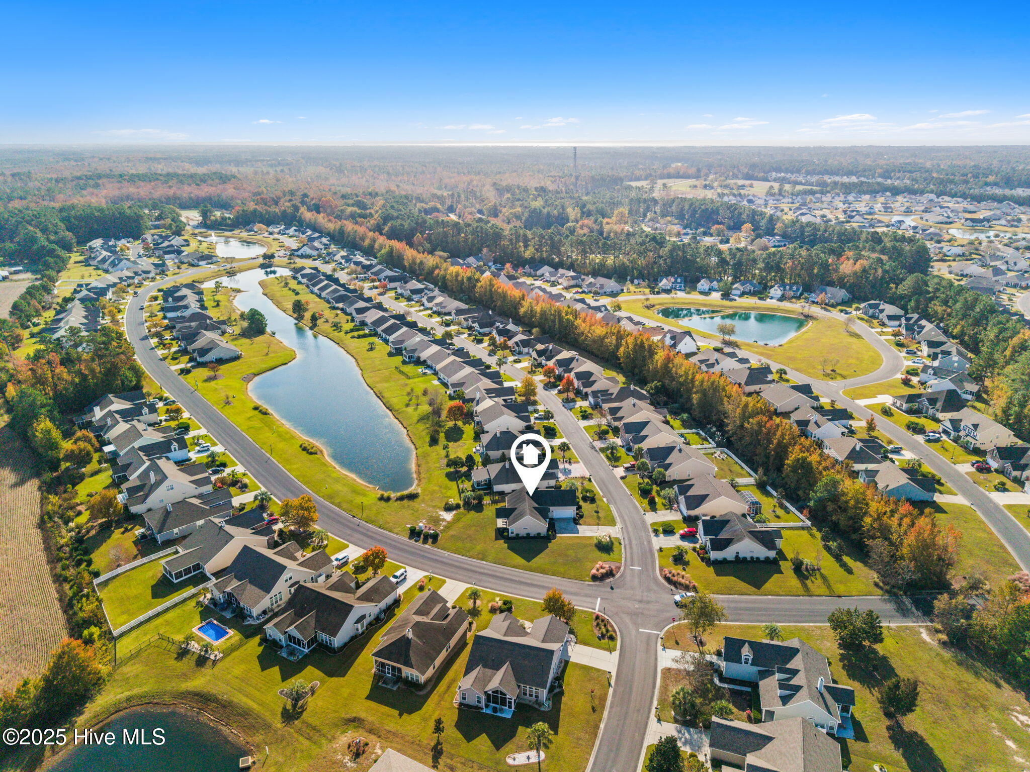 100540486 | Photo 46