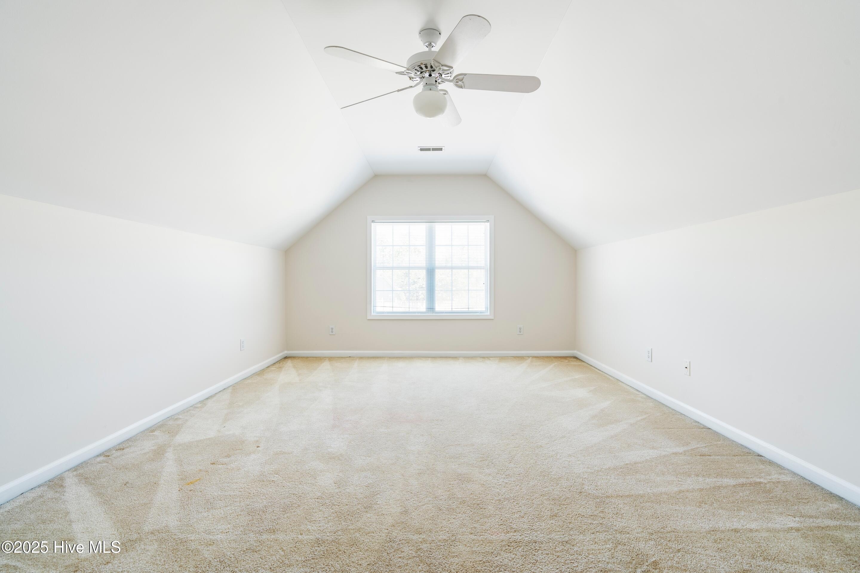 100511628 | Photo 46