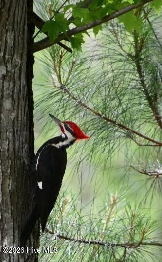 108 Farmington Road, Grimesland, NC, 27837