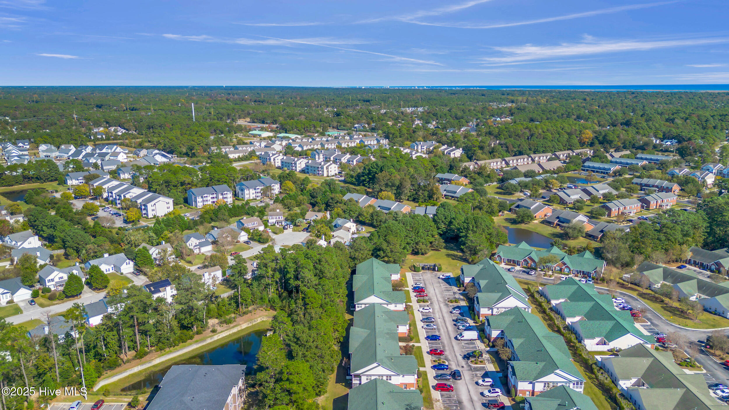 100539370 | Photo 42