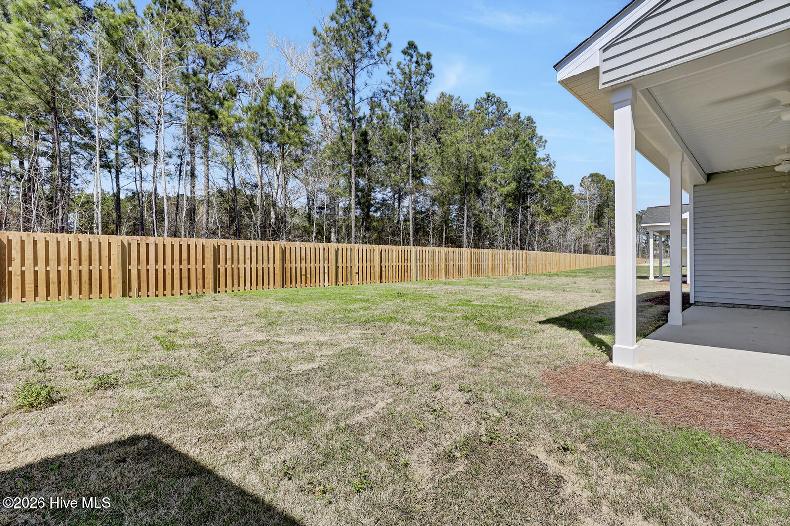 100550116 | Photo 23