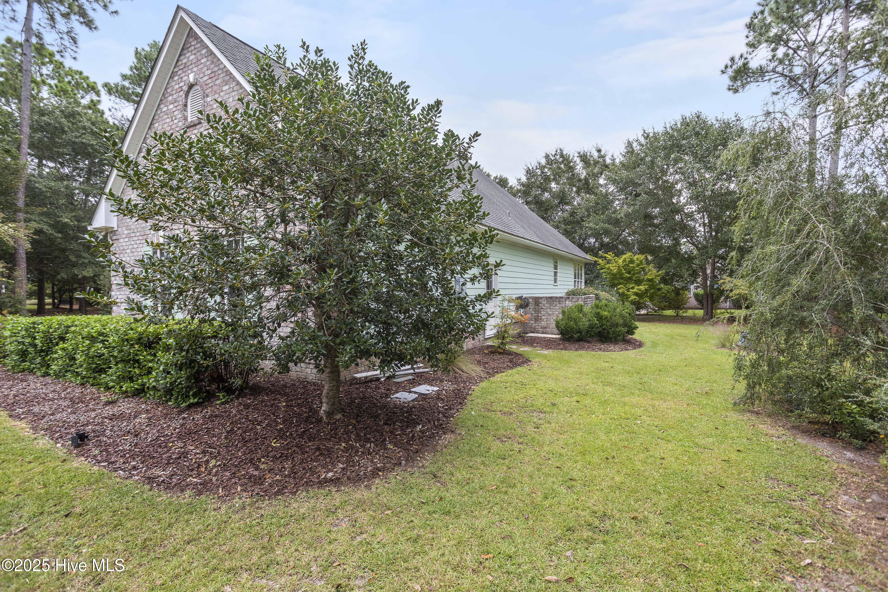 100528316 | Photo 61