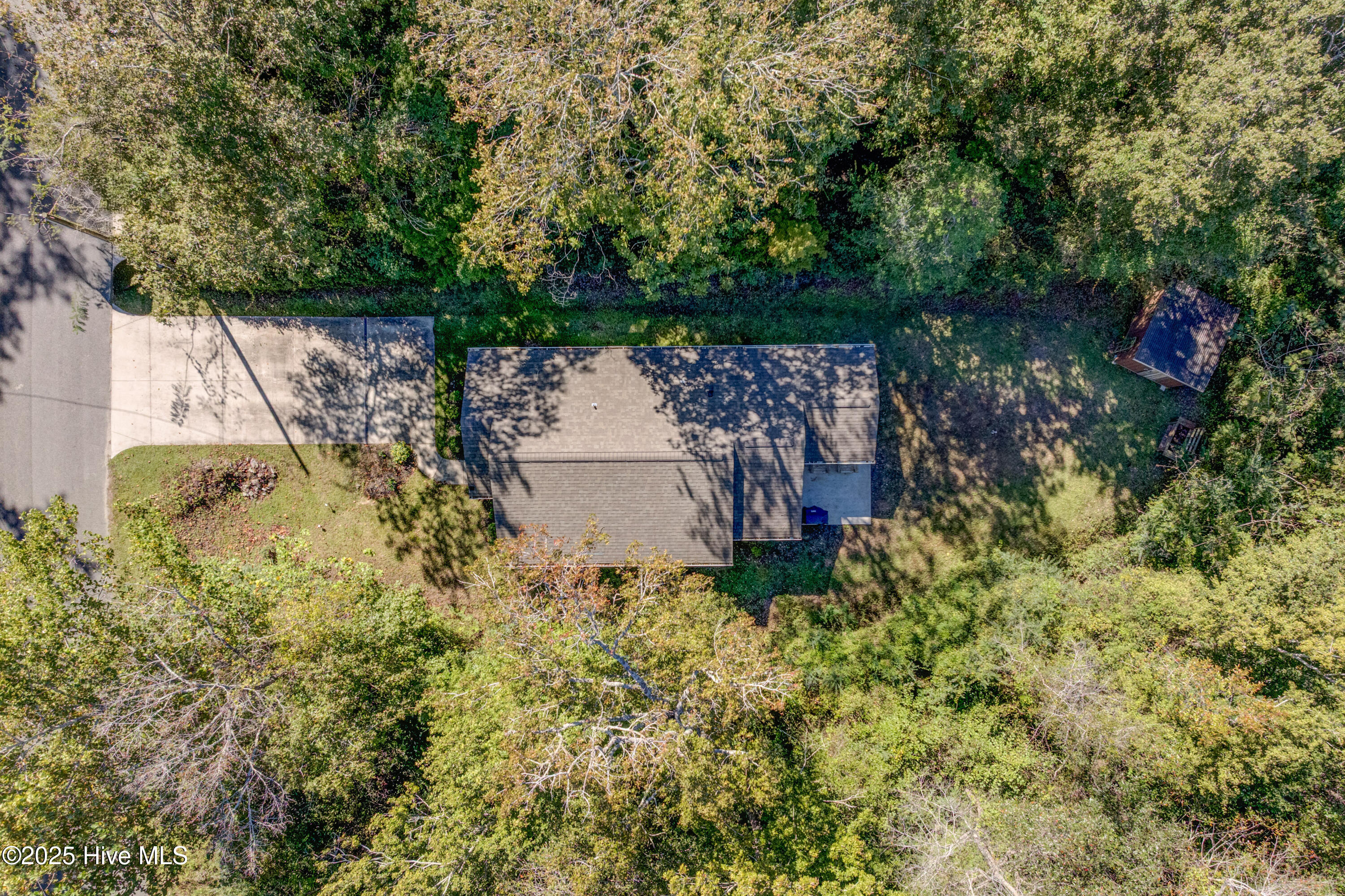 100536711 | Photo 23