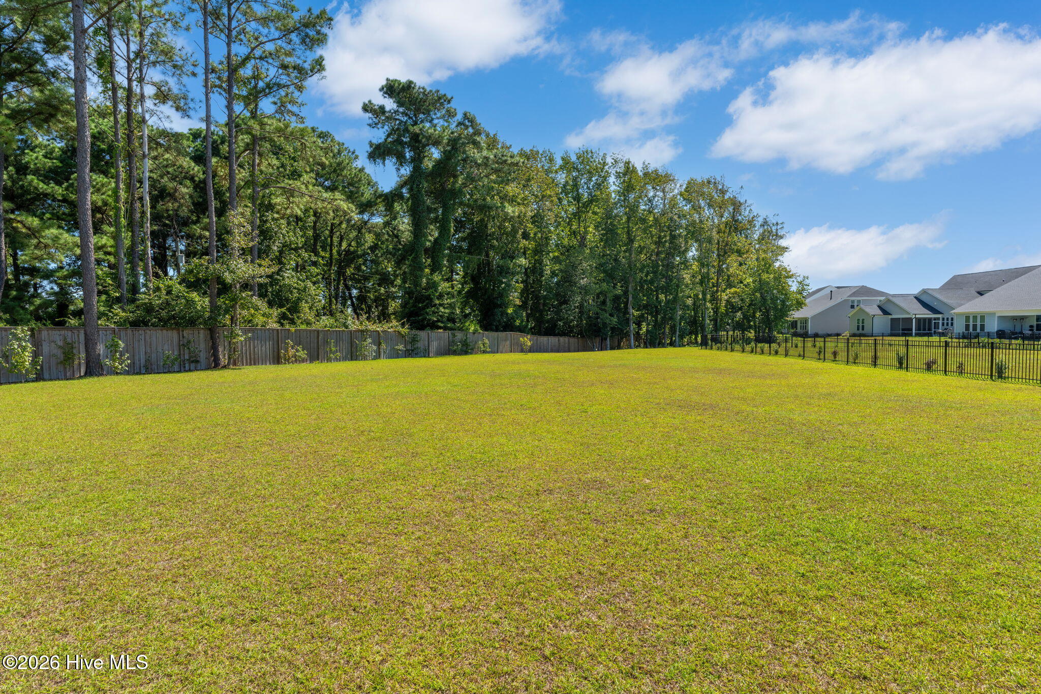 100564713 | Photo 57