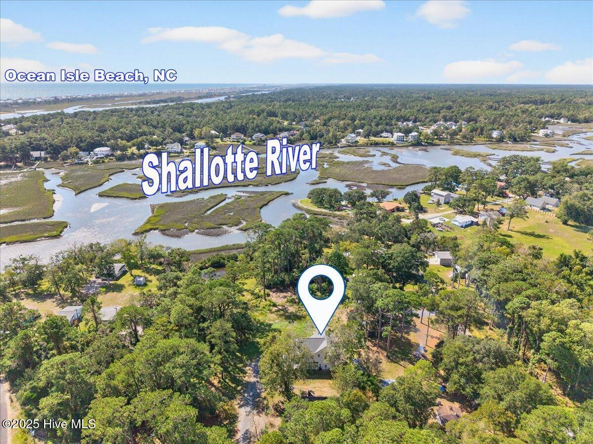 100536911 | Photo 45