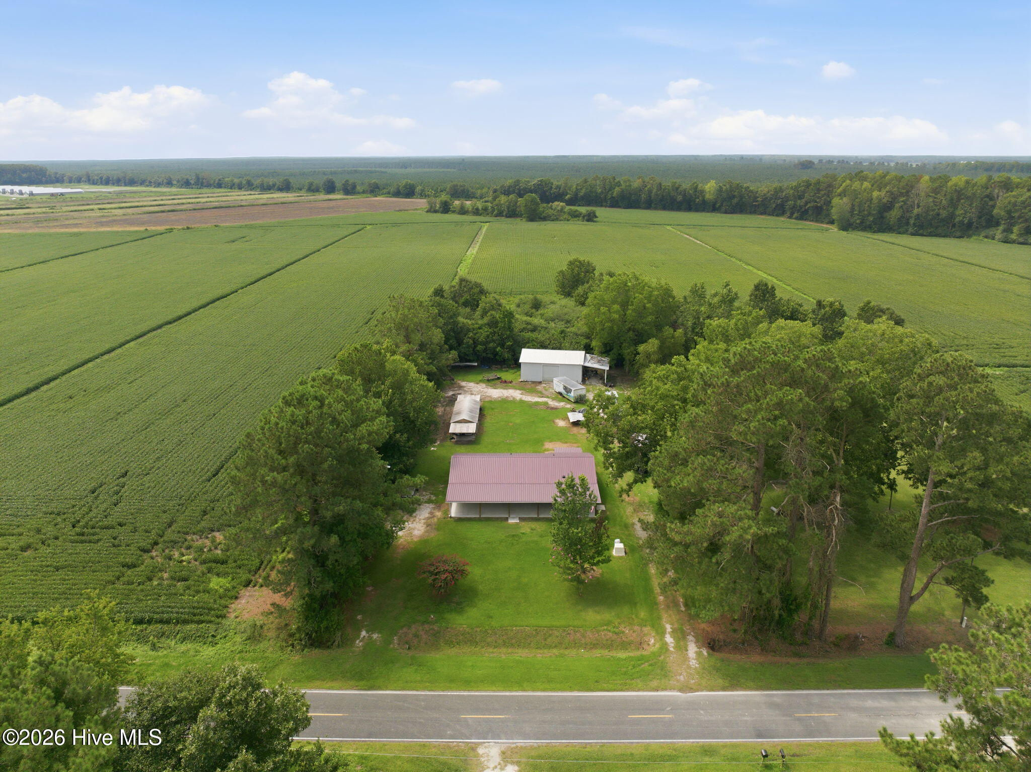 1st image of 1971 Raccoon Rd, Willard, NC 28478 | MLS# 100596459
