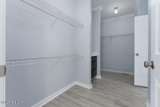 100512300 | Photo 19